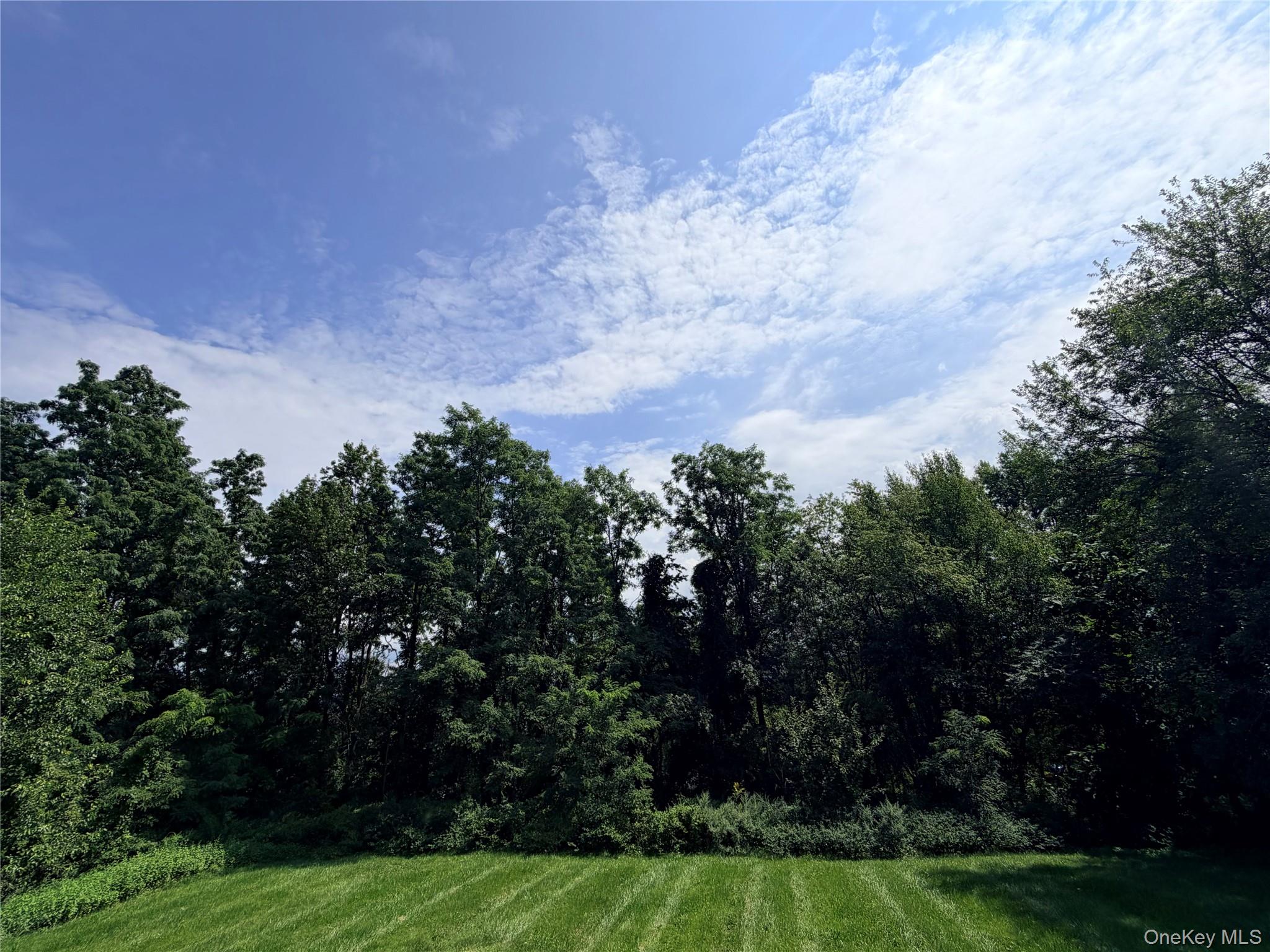 14 Clark Lane – For Sale photo 37