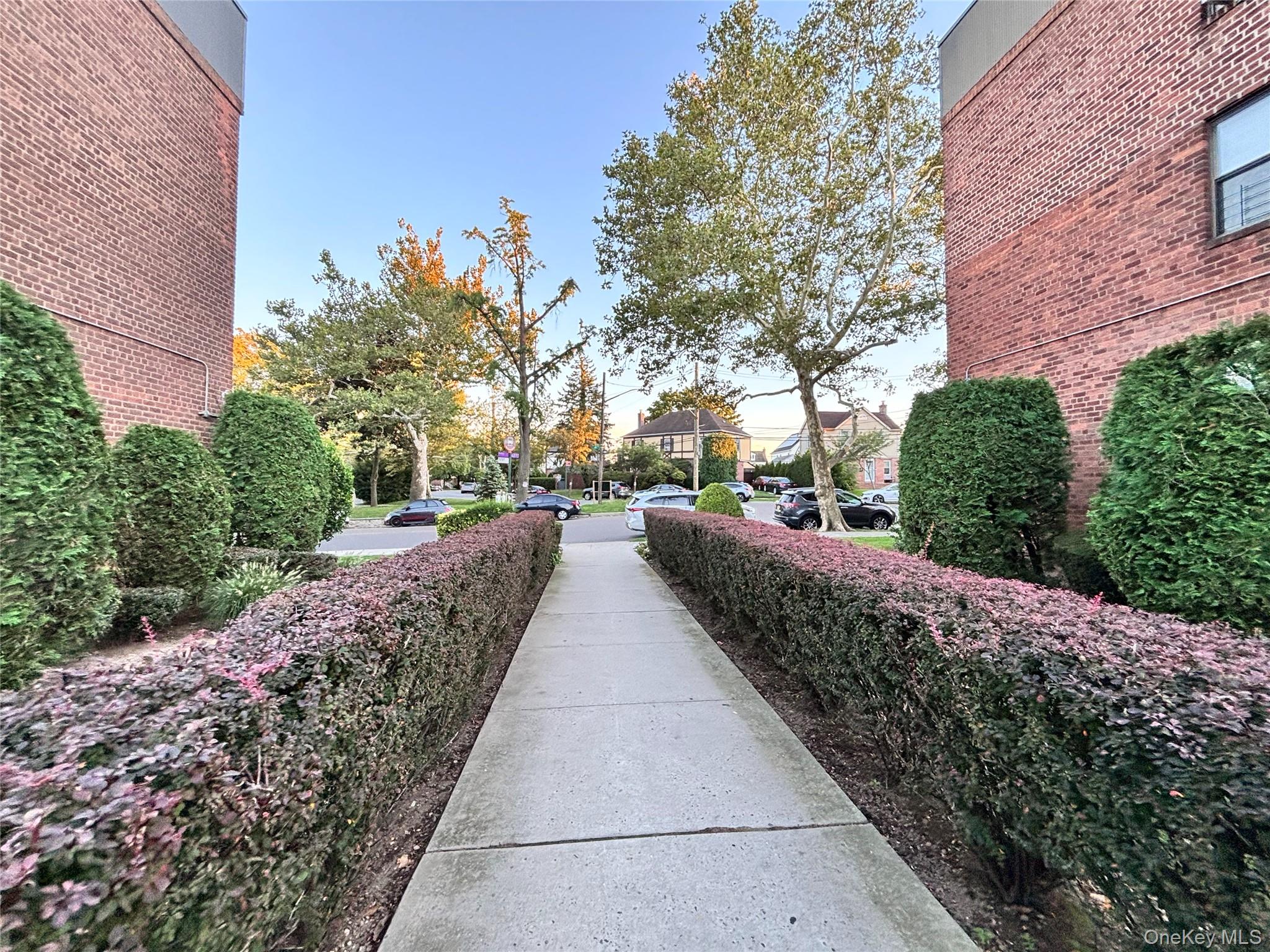 215-27 48th Avenue, Unit 1B photo 4