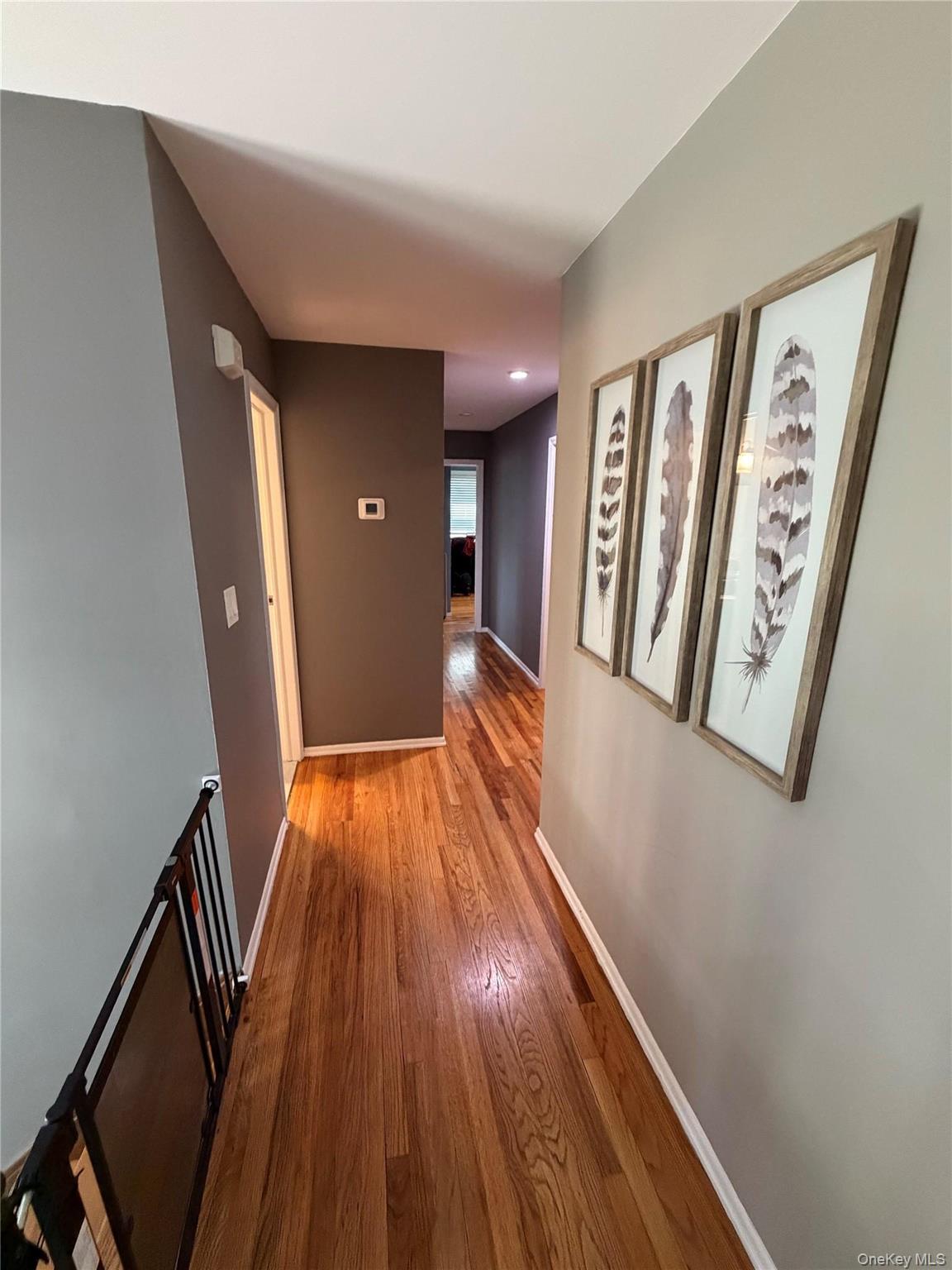 6 Raphael Street – For Rent photo 21