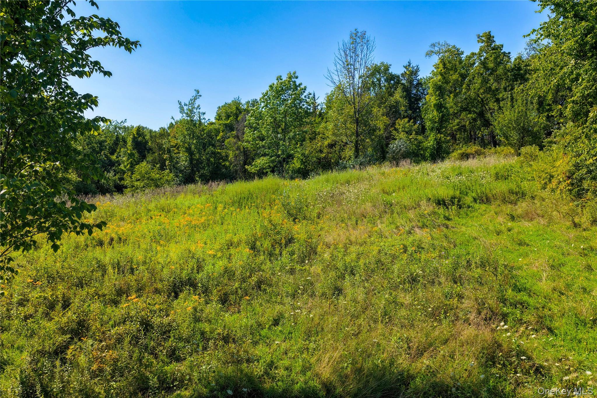 673 Embought Road – For Sale photo 5
