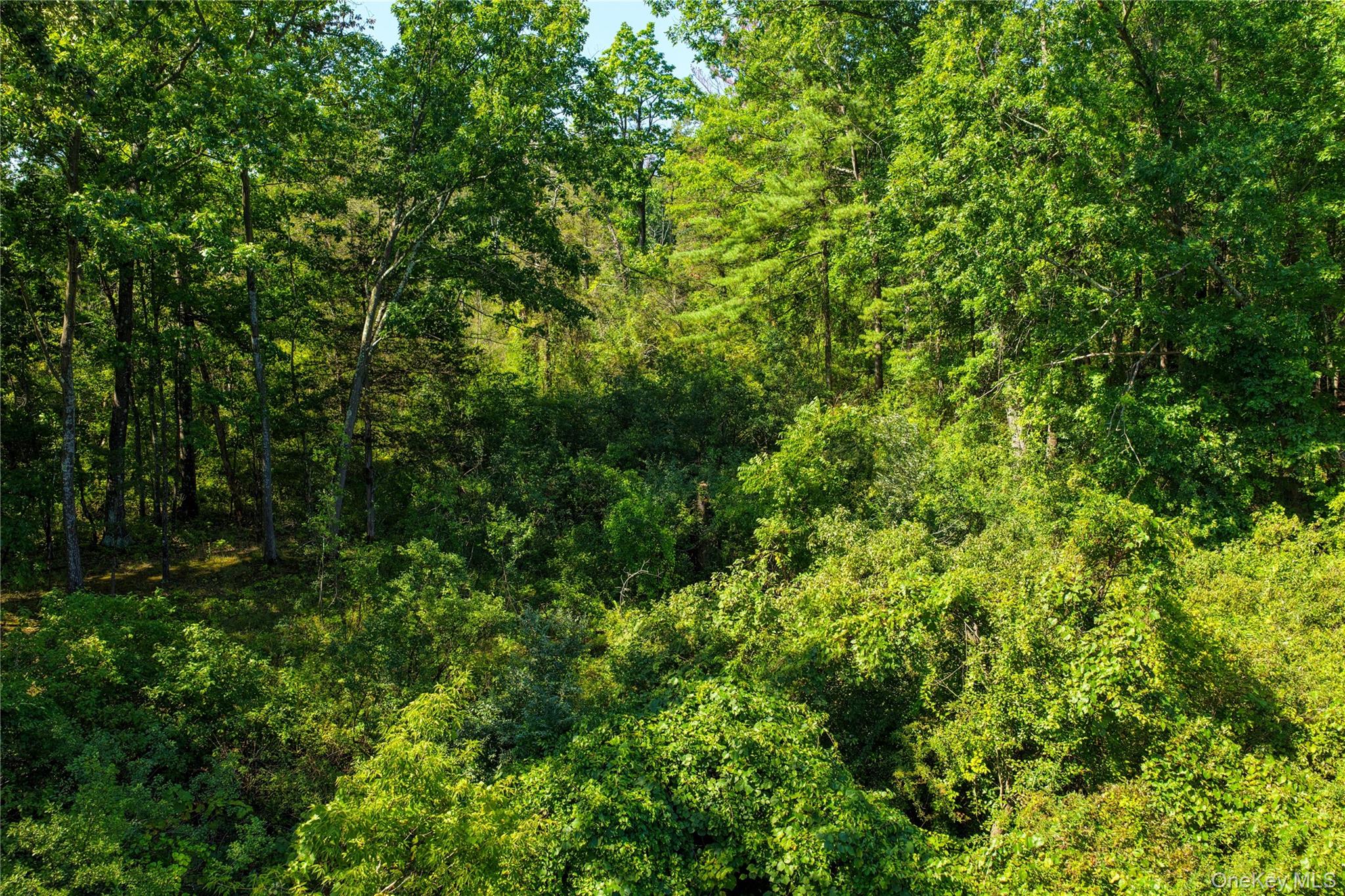673 Embought Road – For Sale photo 11