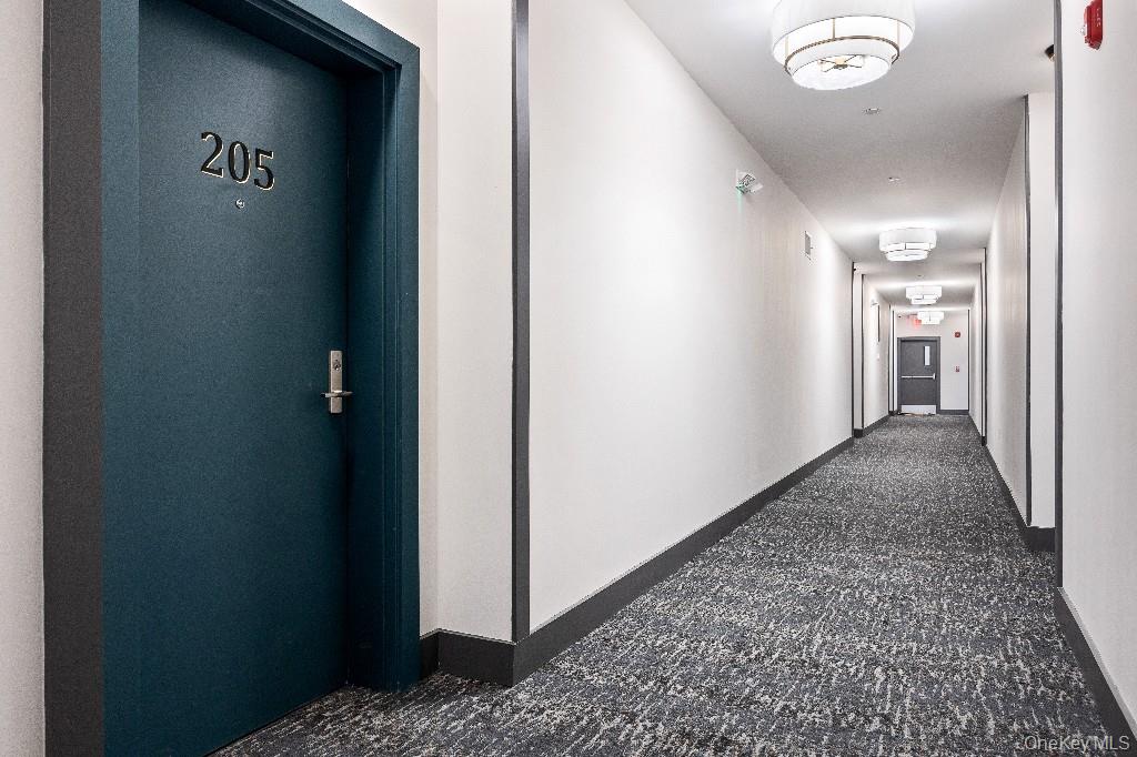 306 Bluestone Court, Unit 104 photo 5