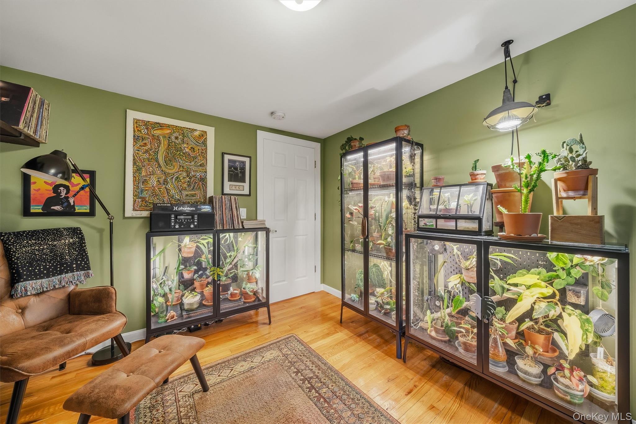 7 Nelson Street – For Sale photo 28