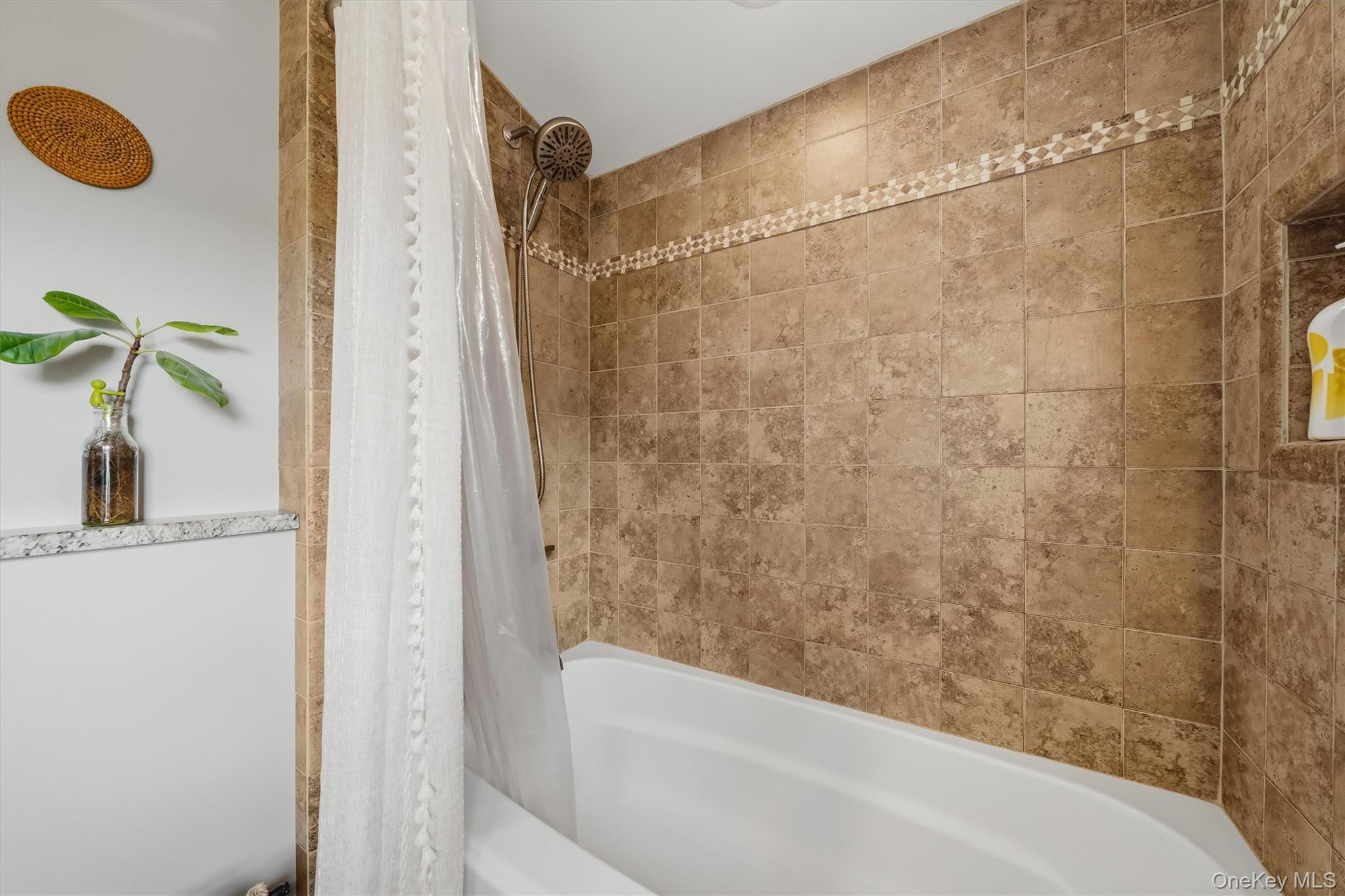 7 Nelson Street – For Sale photo 24