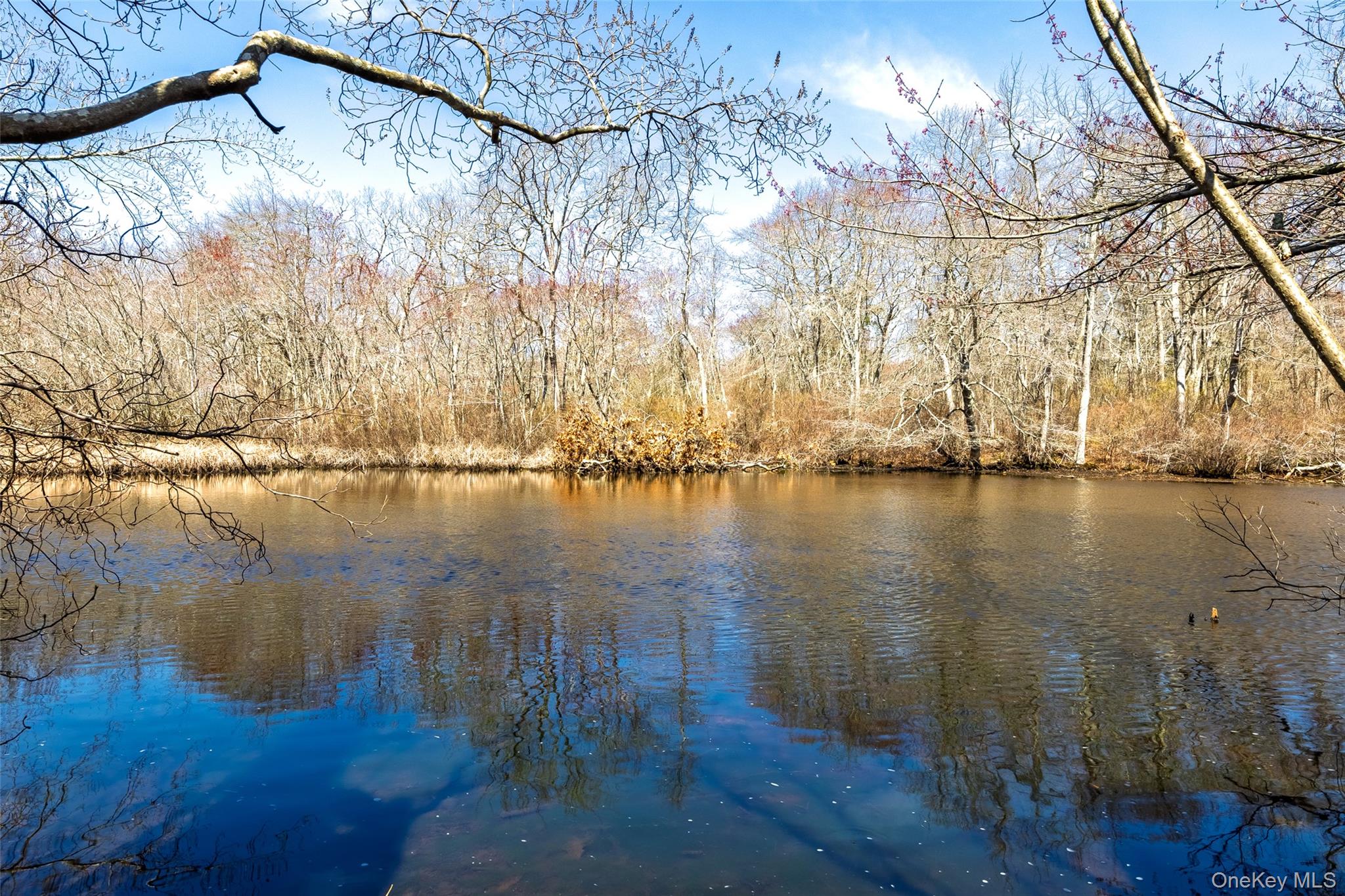 371 S River Road – For Rent photo 39