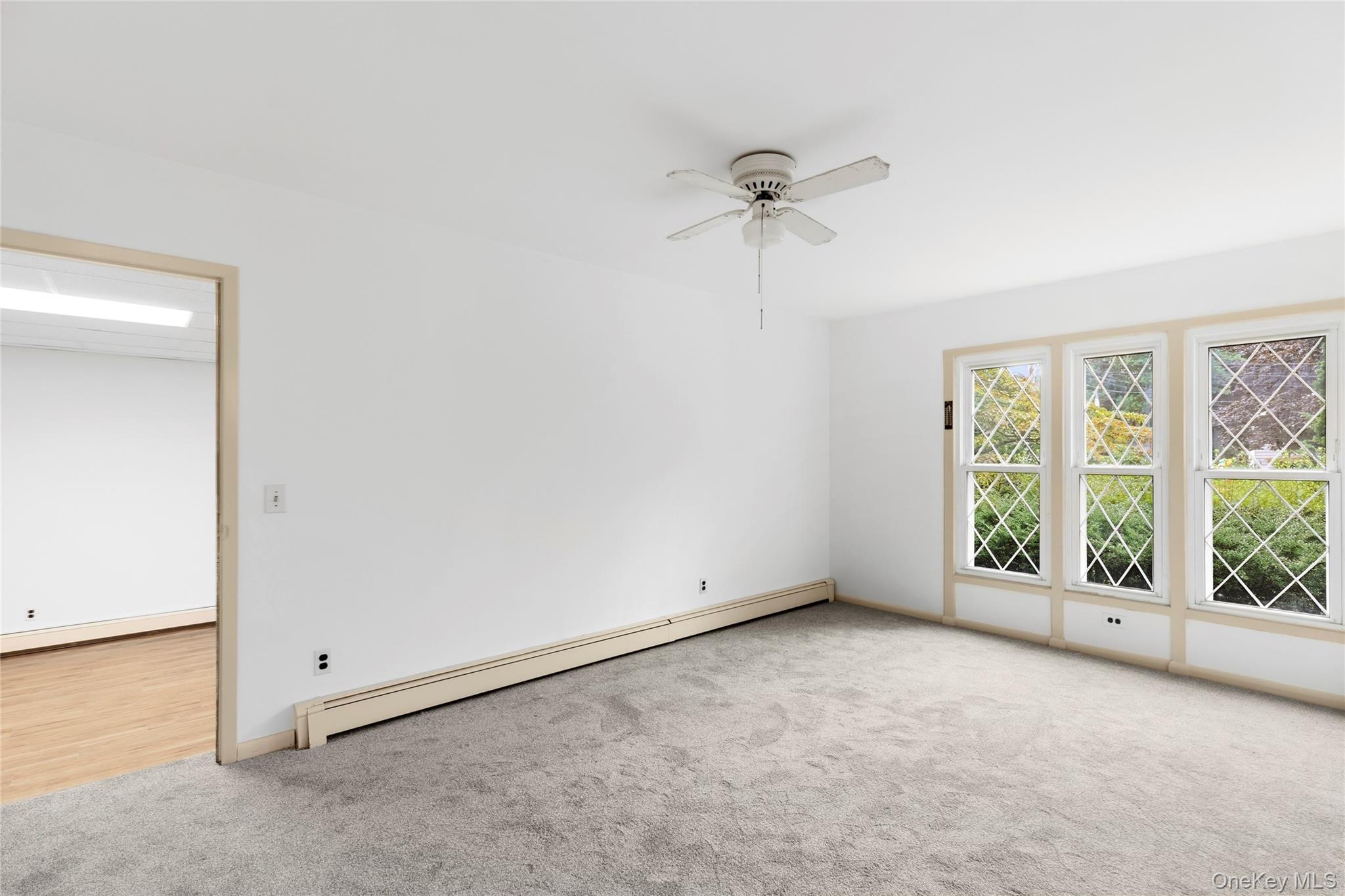 41 Shirley Street – For Sale photo 7