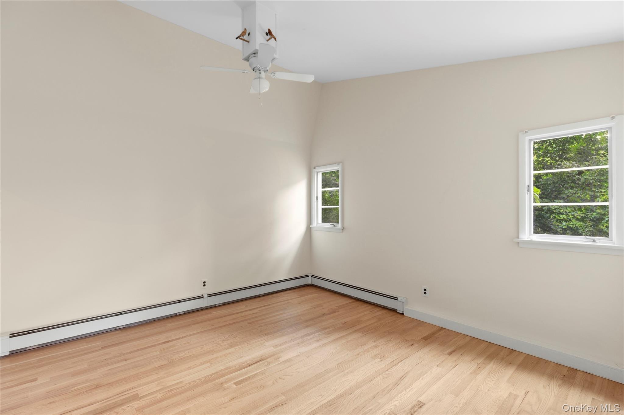 41 Shirley Street – For Sale photo 11