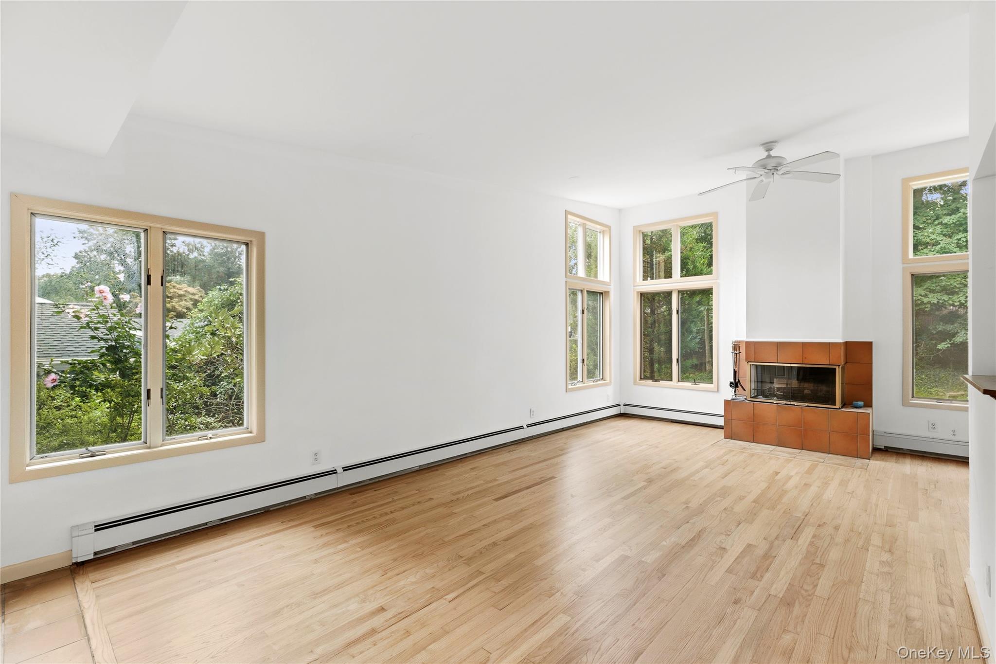 41 Shirley Street – For Sale photo 2