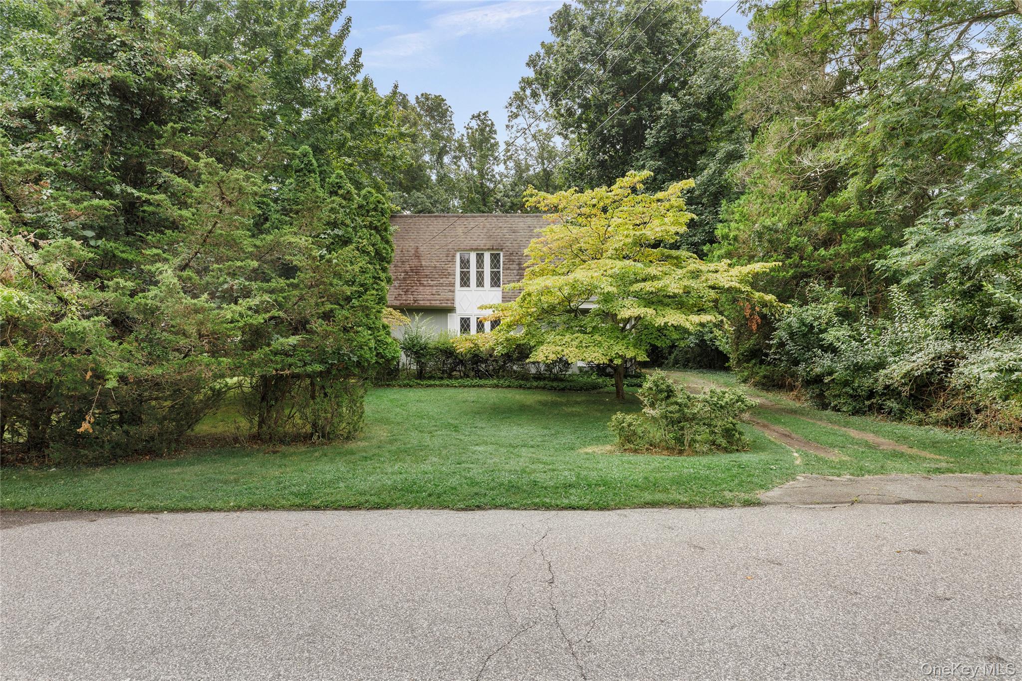 41 Shirley Street – For Sale photo 15