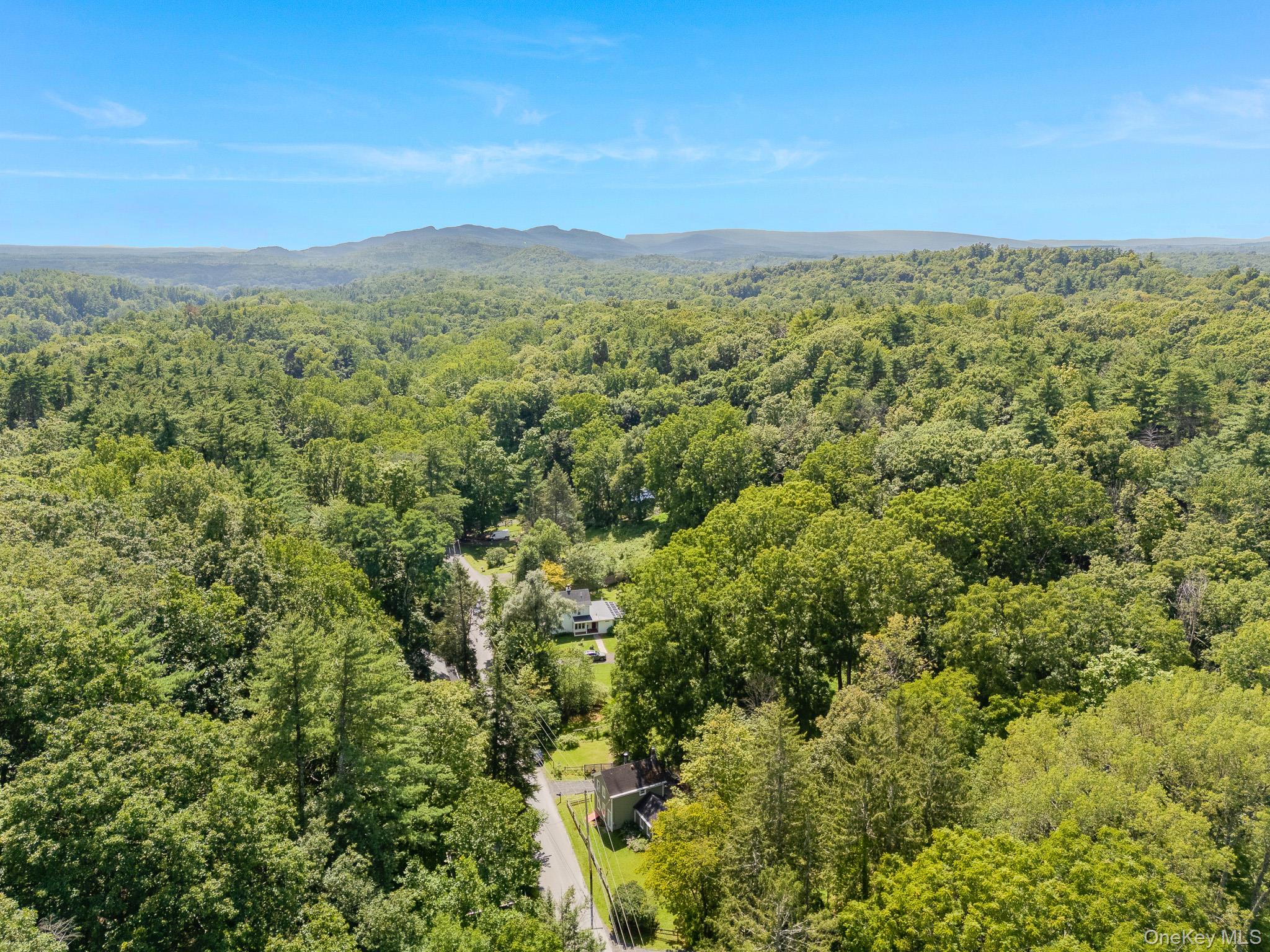 568 Hickory Bush Road – For Sale photo 24