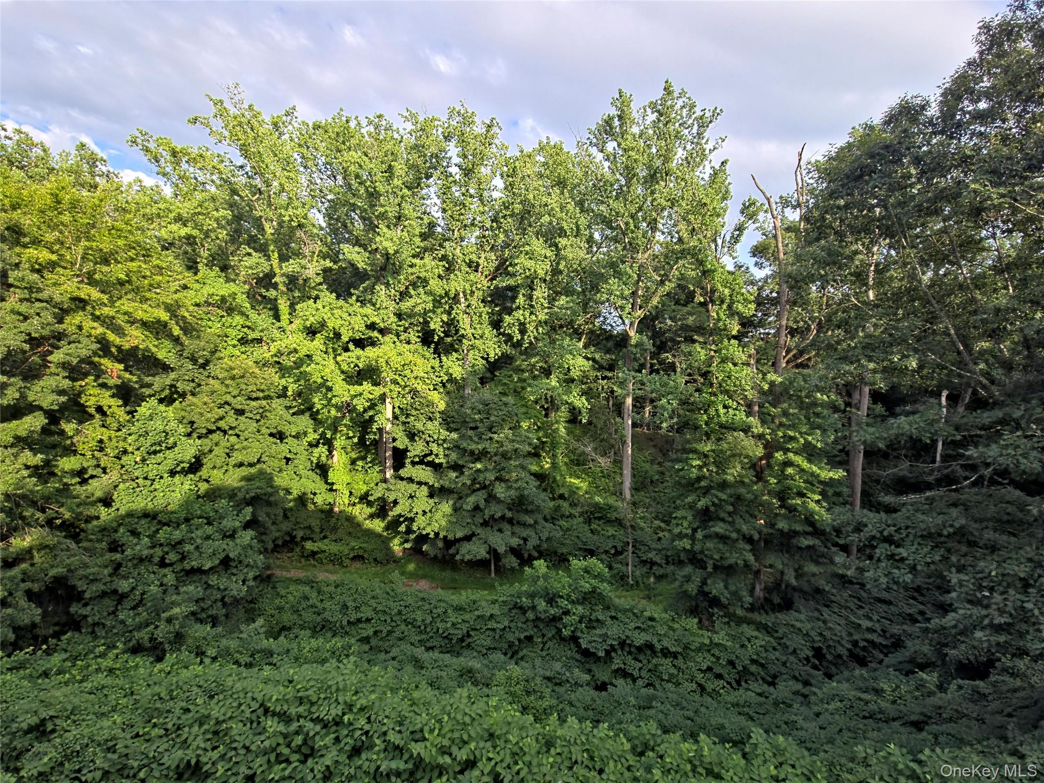 33 Mystic Drive – For Sale photo 9