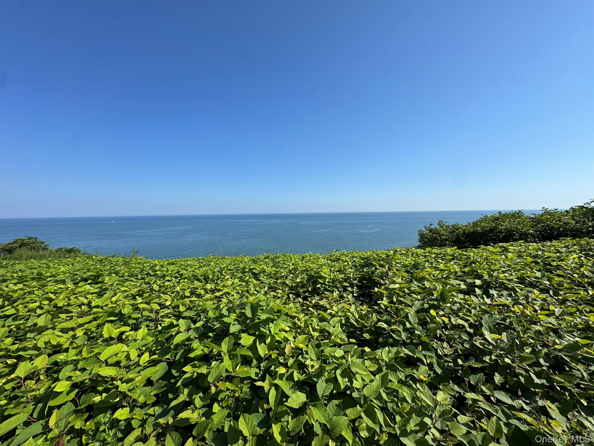 98 Magnolia Drive – For Sale photo 15