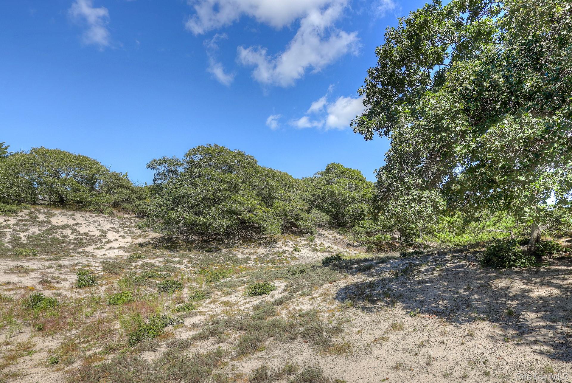18 Cliff Road – For Sale photo 23