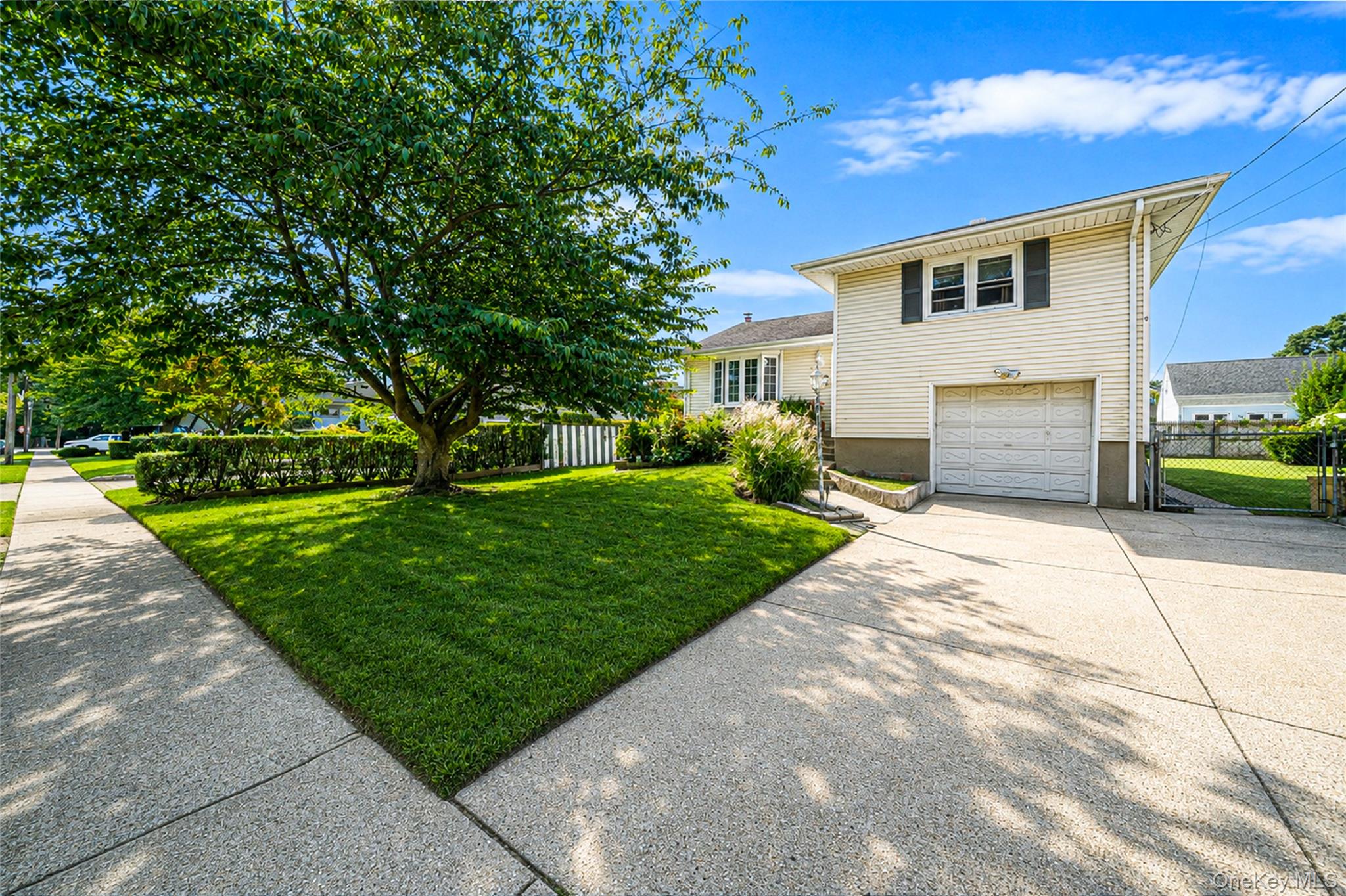 172 walnut – For Sale photo 2