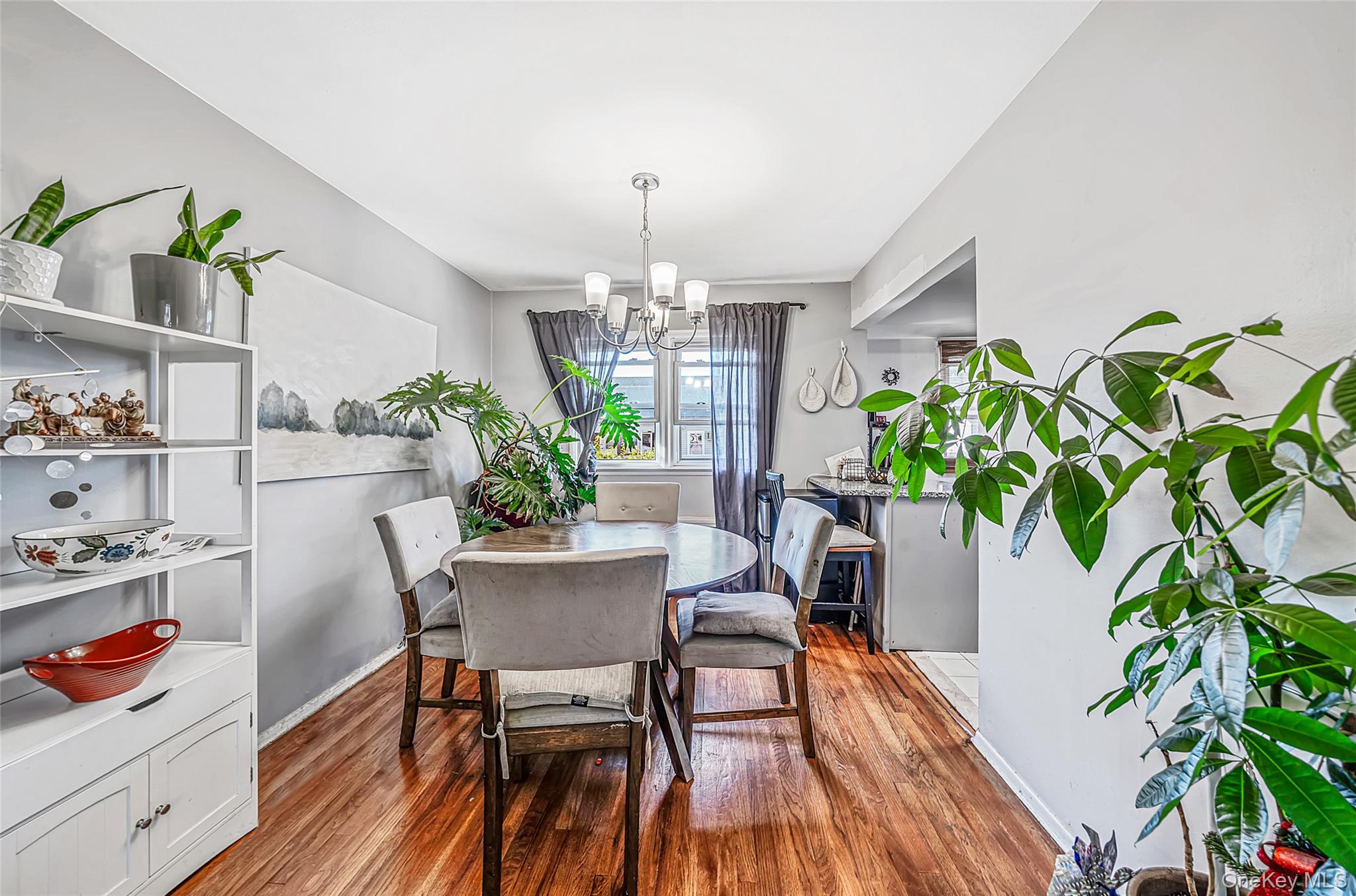 172 walnut – For Sale photo 11