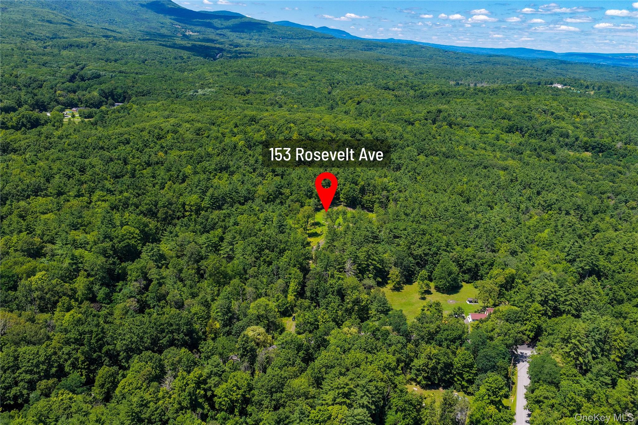 153 Roosevelt Avenue – For Sale photo 7