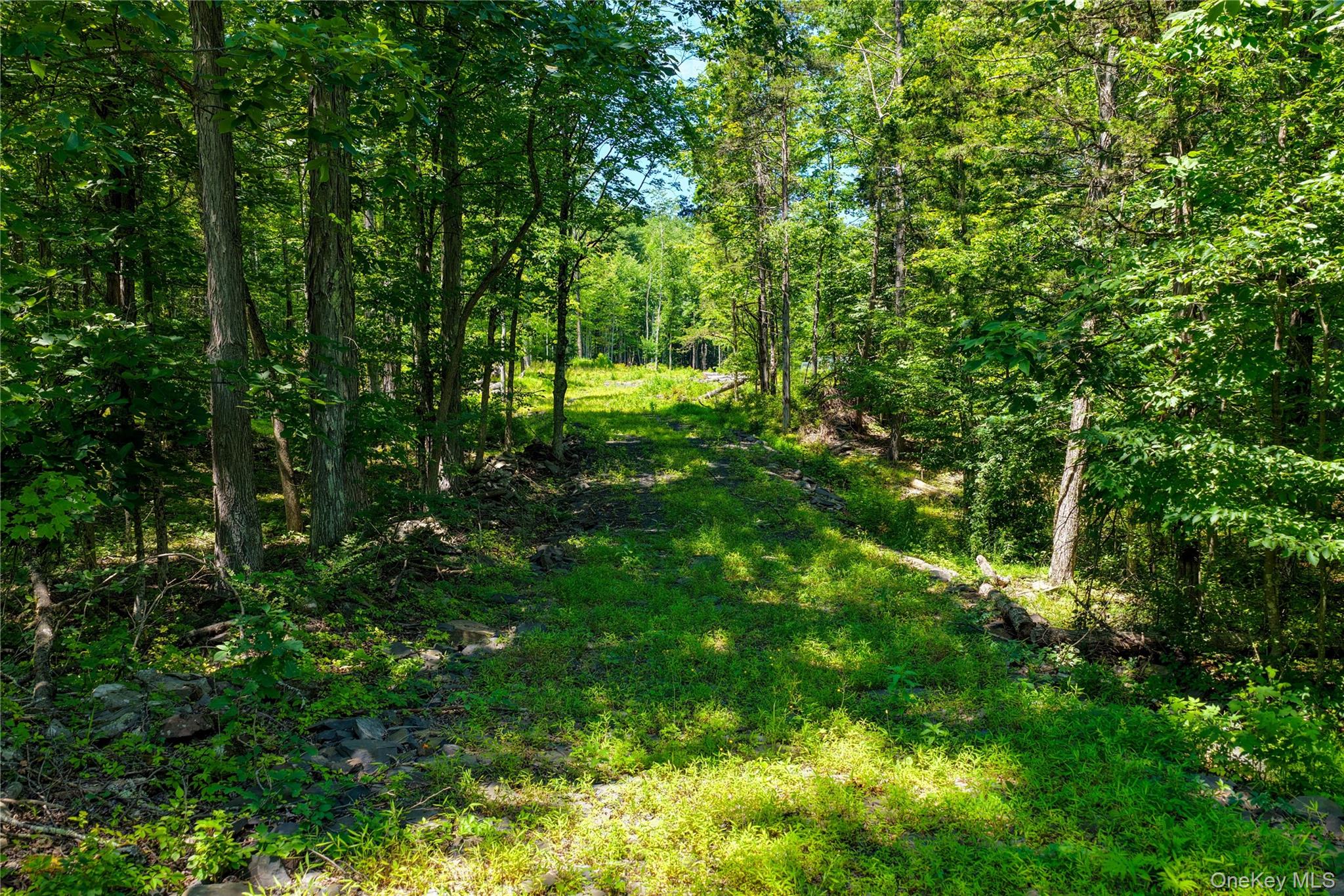 153 Roosevelt Avenue – For Sale photo 3