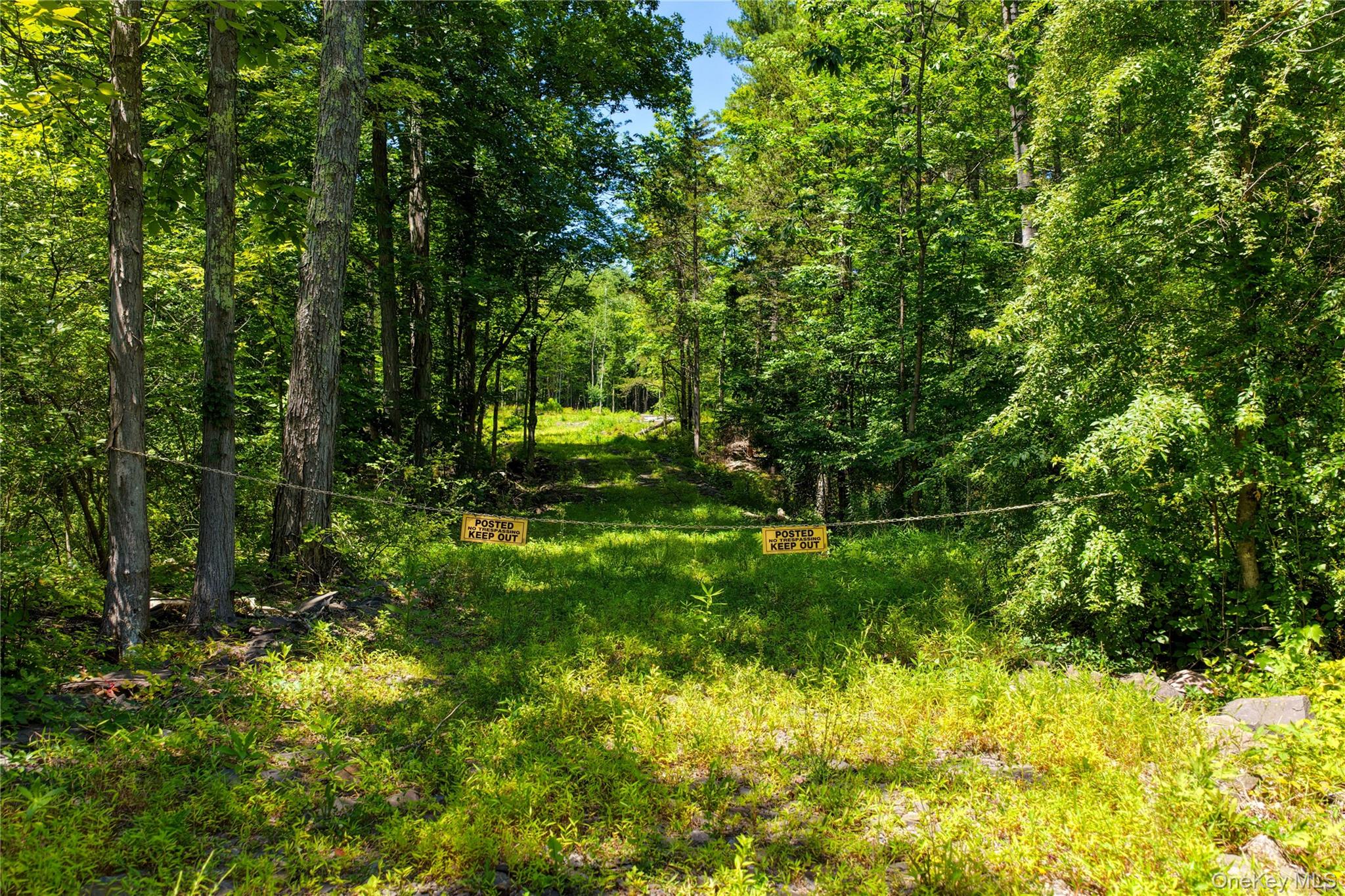 153 Roosevelt Avenue – For Sale photo 5