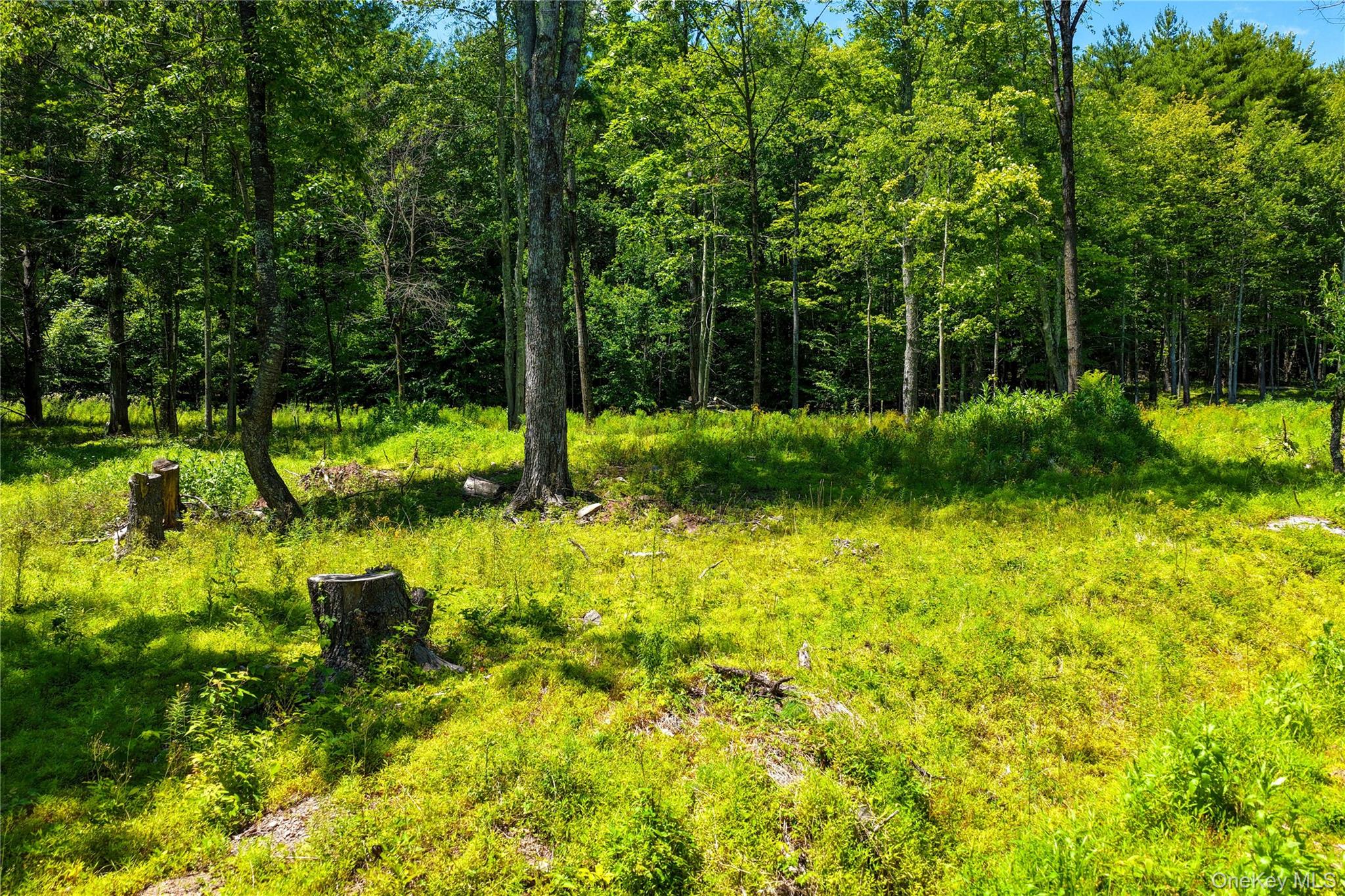 153 Roosevelt Avenue – For Sale photo 9