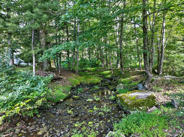 44 Airport Road – For Sale photo 11