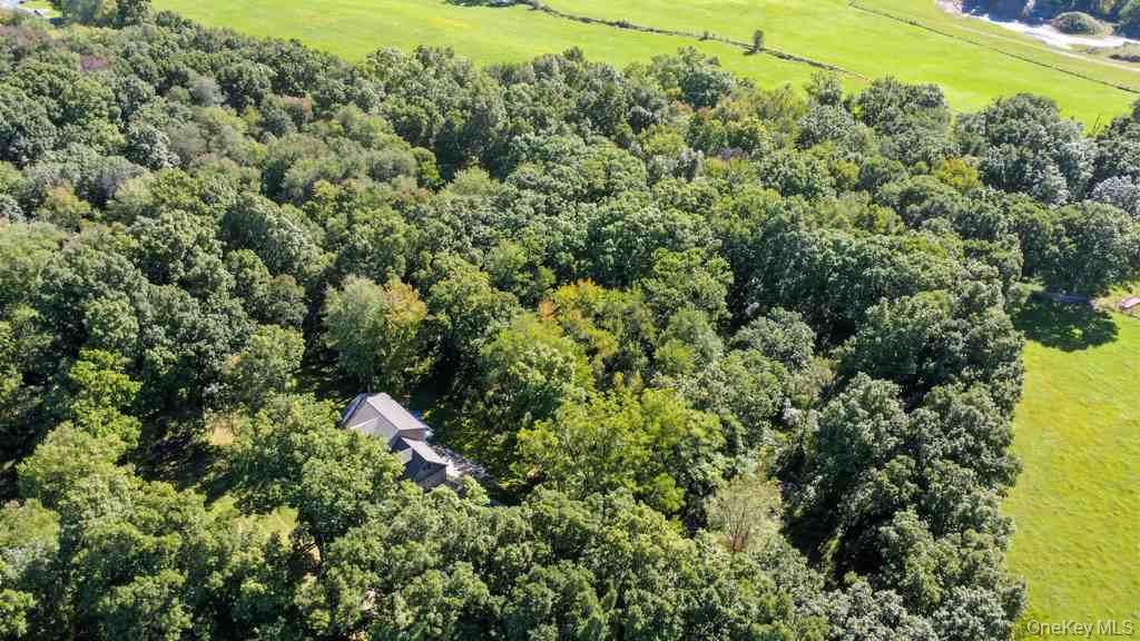 25 Pirog Road – For Sale photo 47