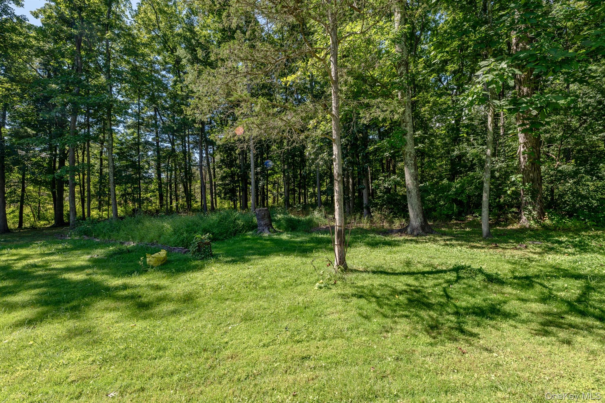 28 Buck Lane – For Sale photo 43