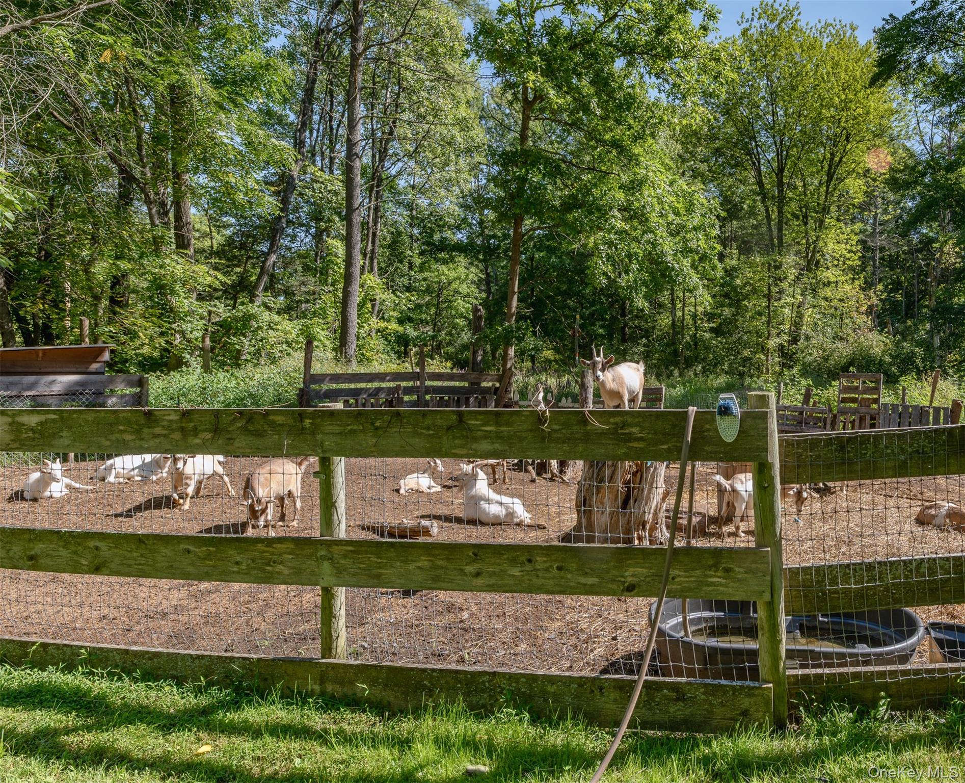 28 Buck Lane – For Sale photo 47