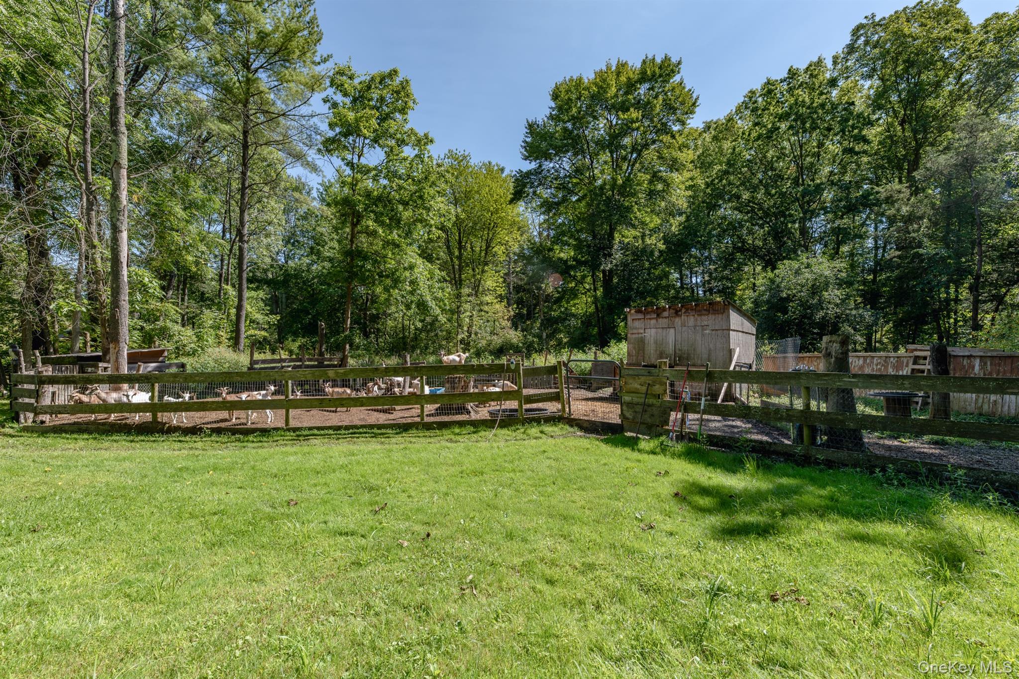 28 Buck Lane – For Sale photo 46