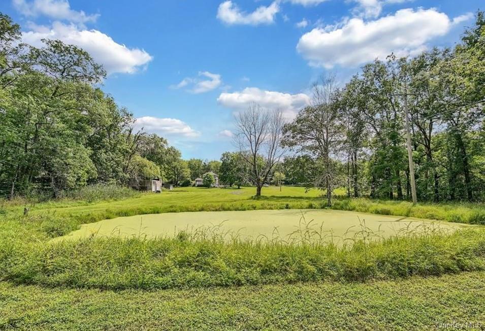 2374 Bruynswick Road – For Sale photo 33