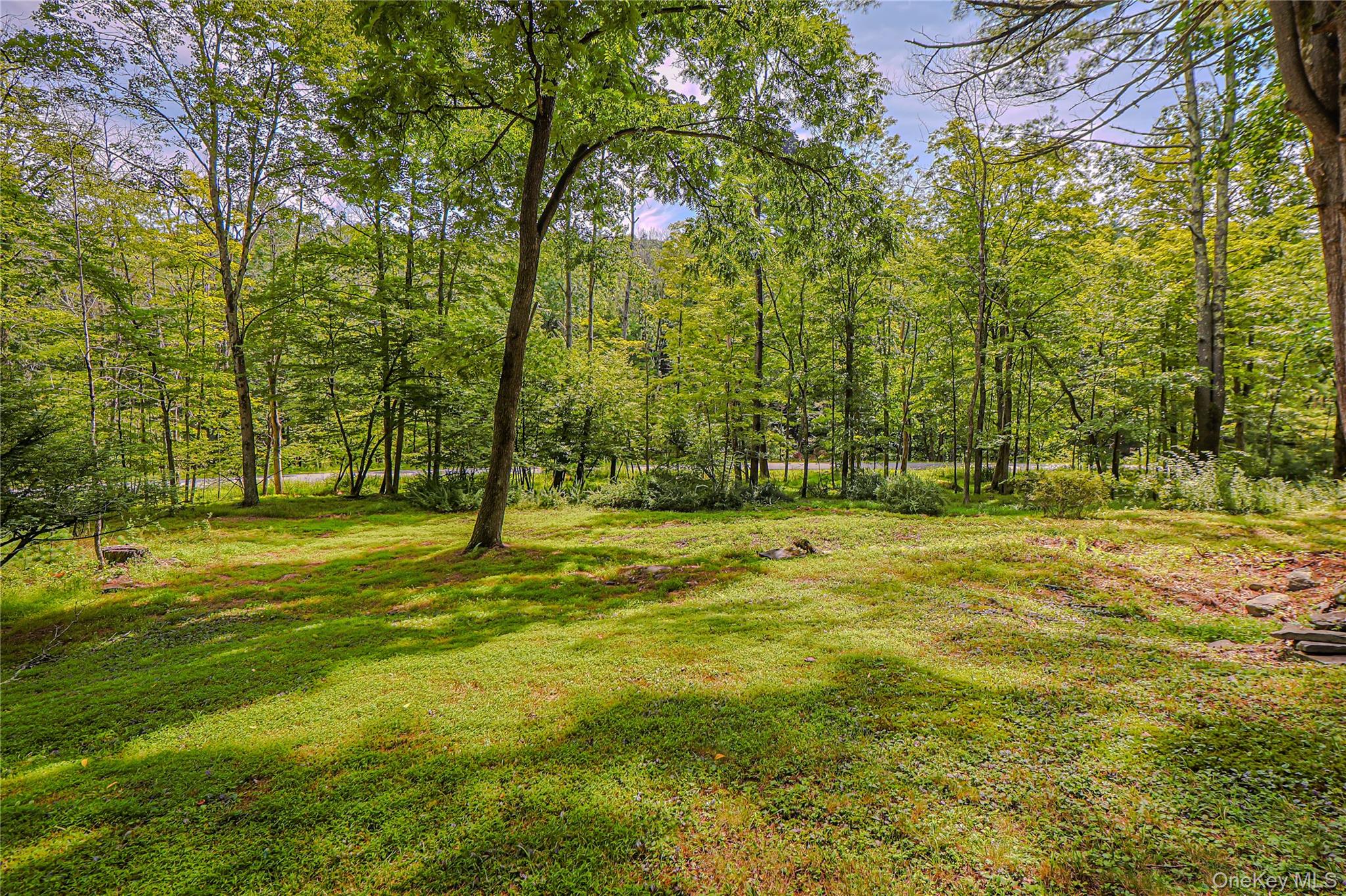 345 Dug Road – For Sale photo 10