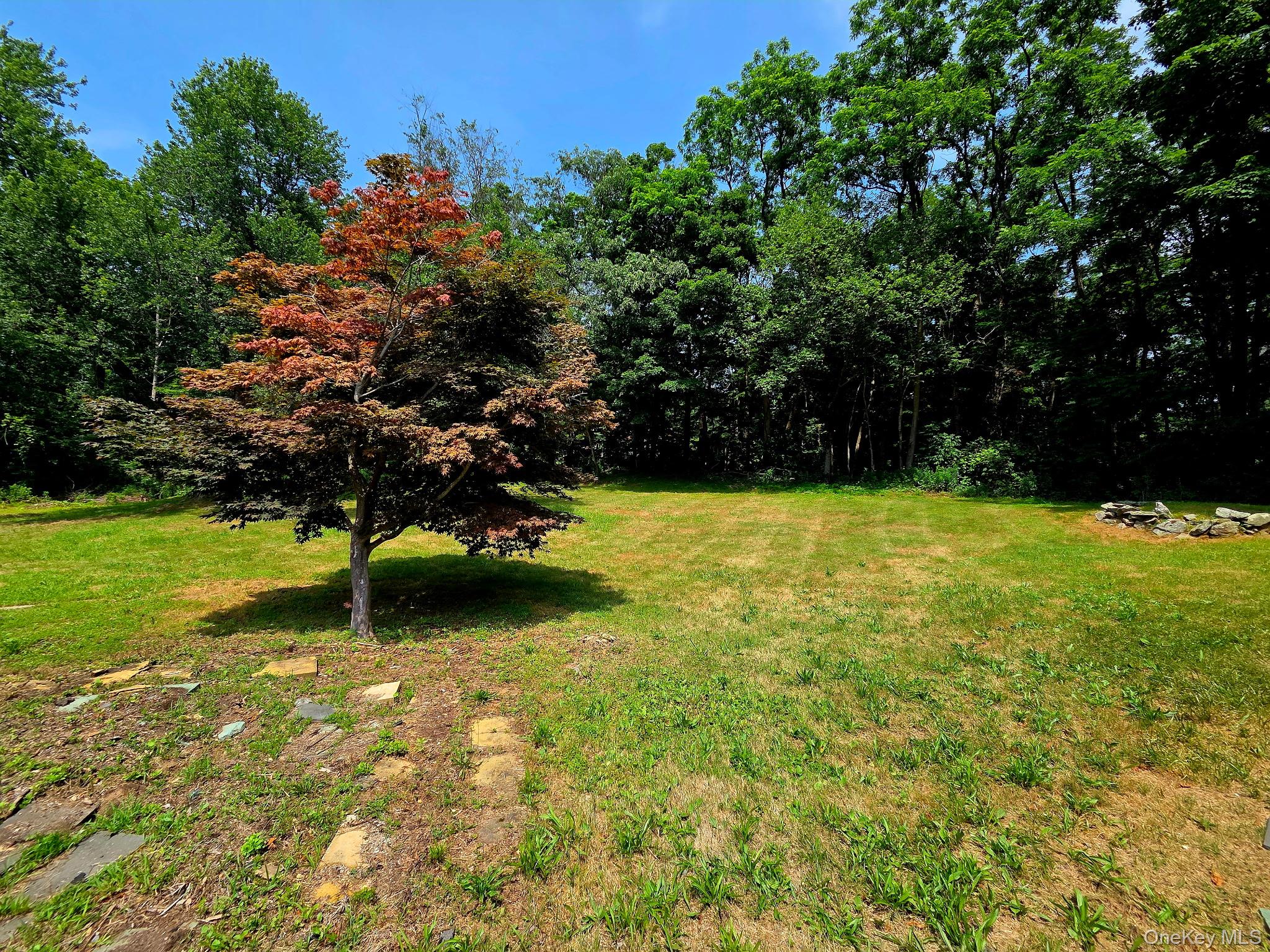 16 Ernest Lane – For Rent photo 3