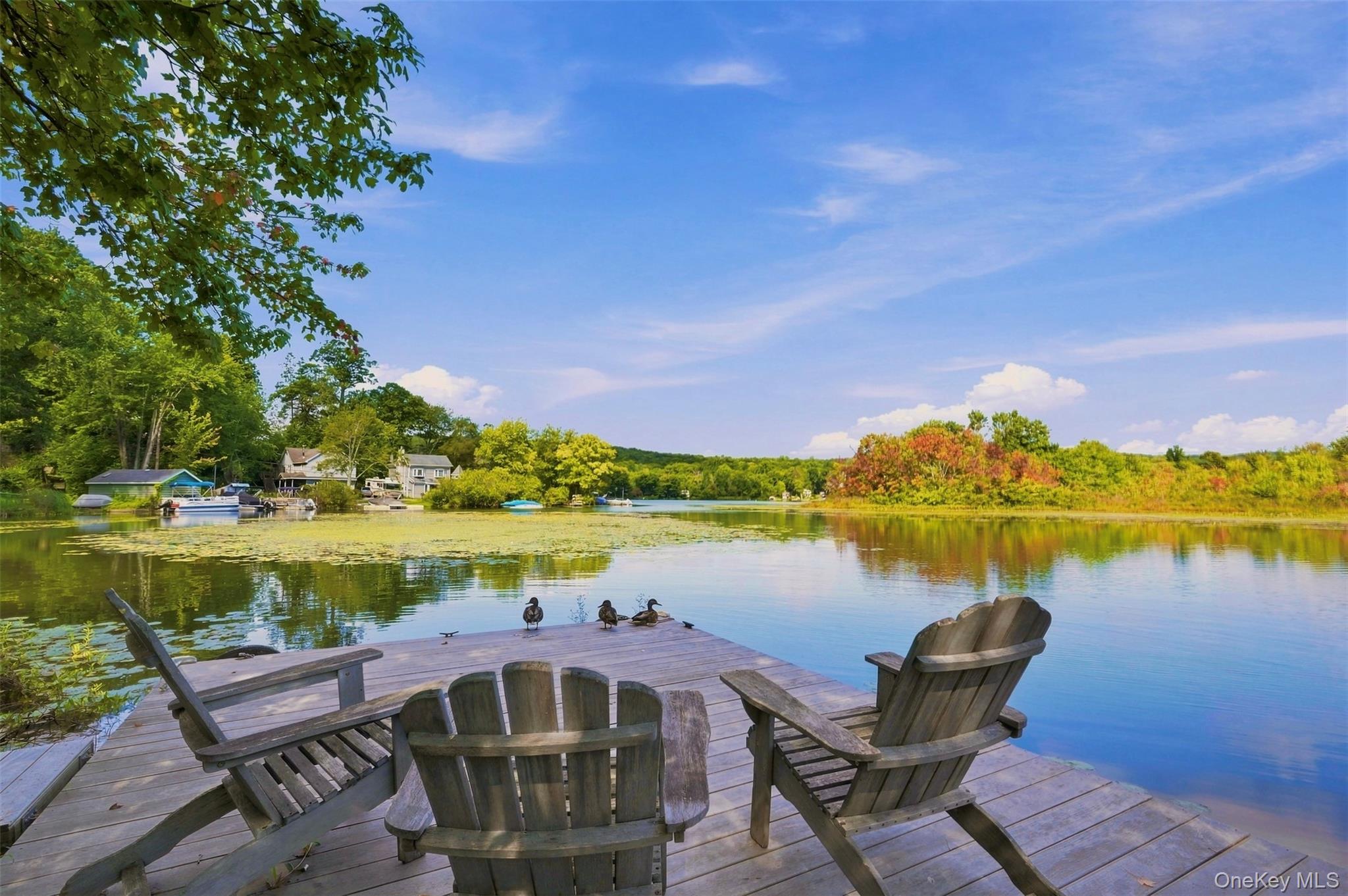 44 Cayuga Road – For Sale photo 4