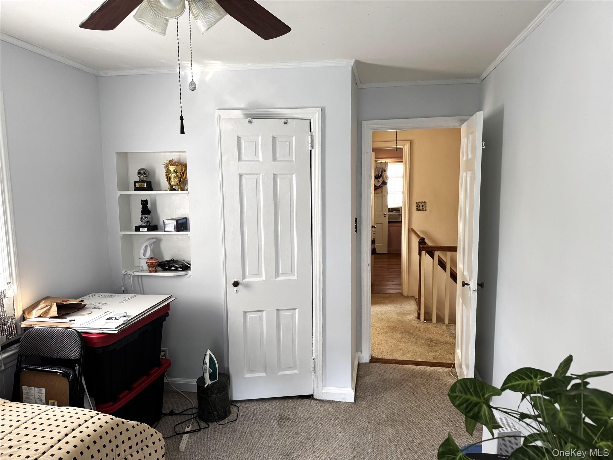20 Elaine Terrace – For Sale photo 21