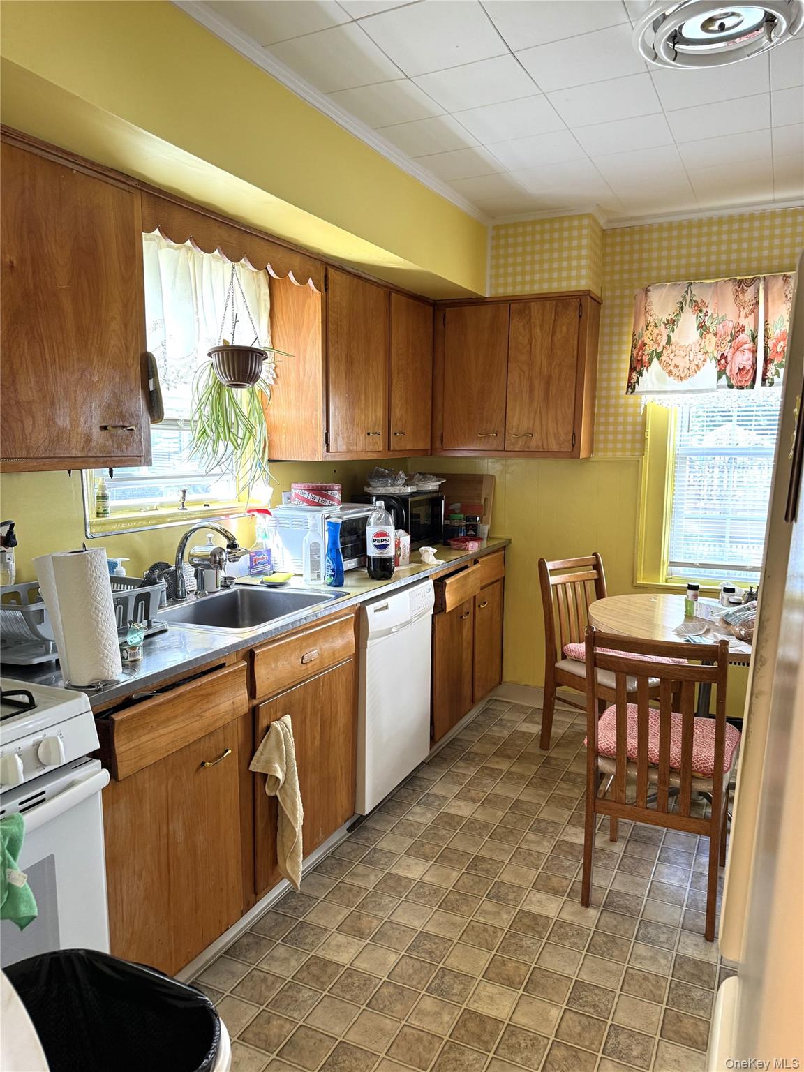 20 Elaine Terrace – For Sale photo 11