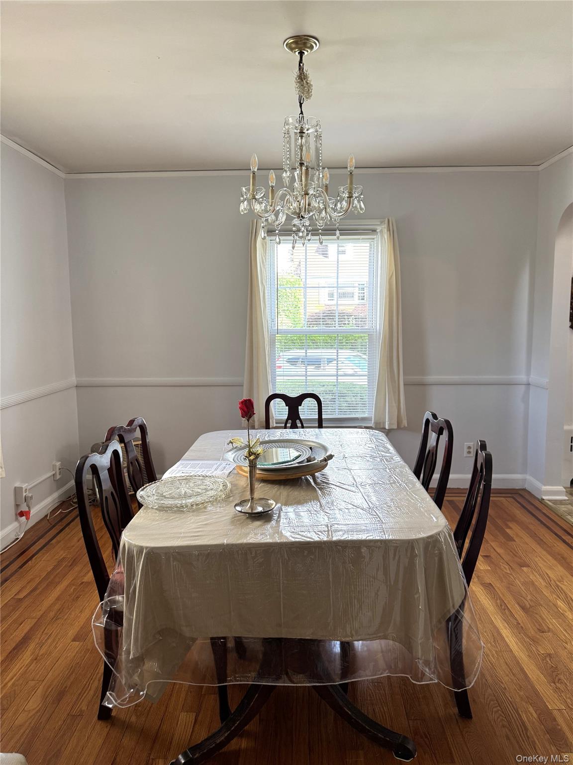 20 Elaine Terrace – For Sale photo 9