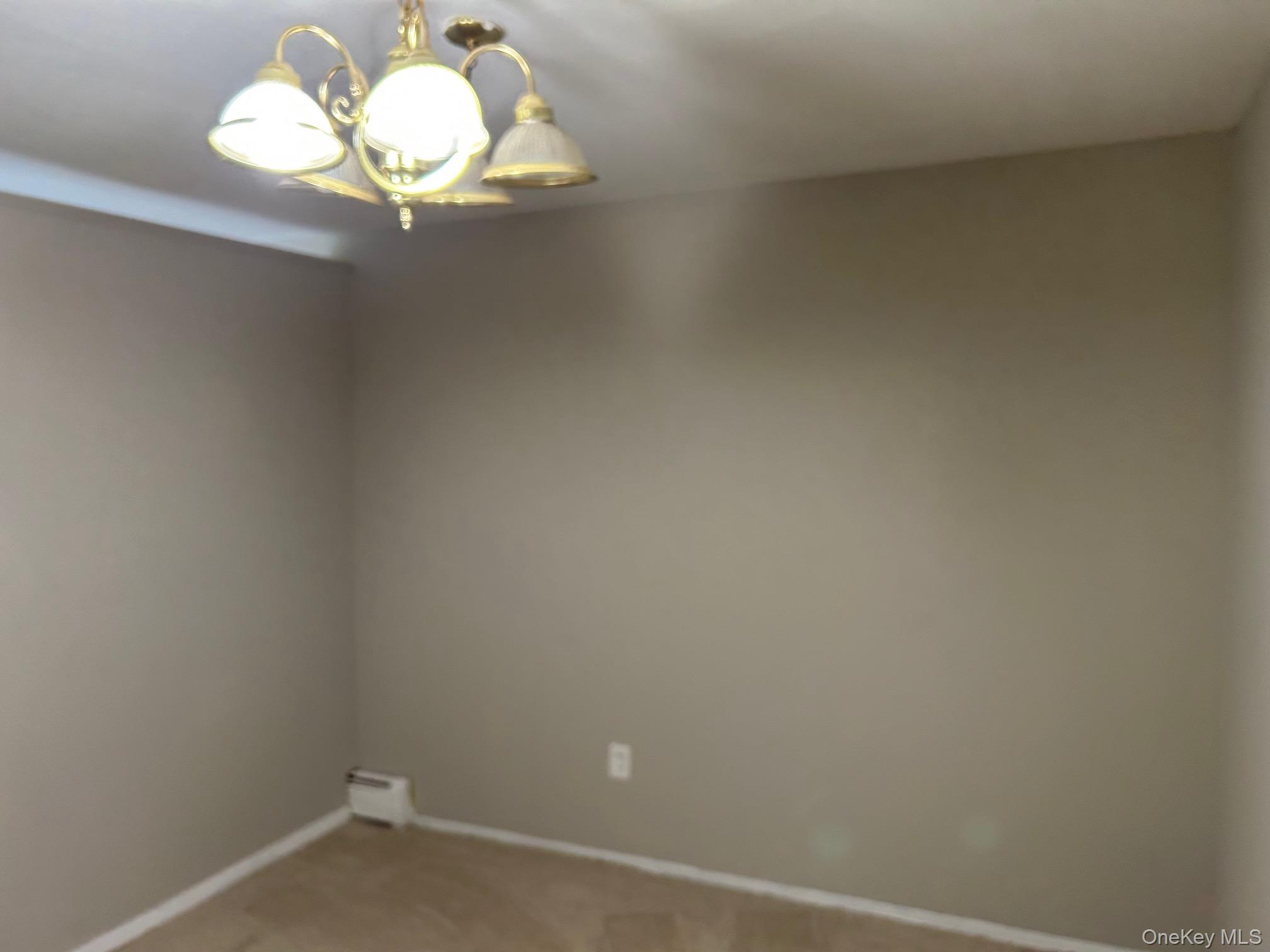 220 Sneden Place, Unit 220 photo 27
