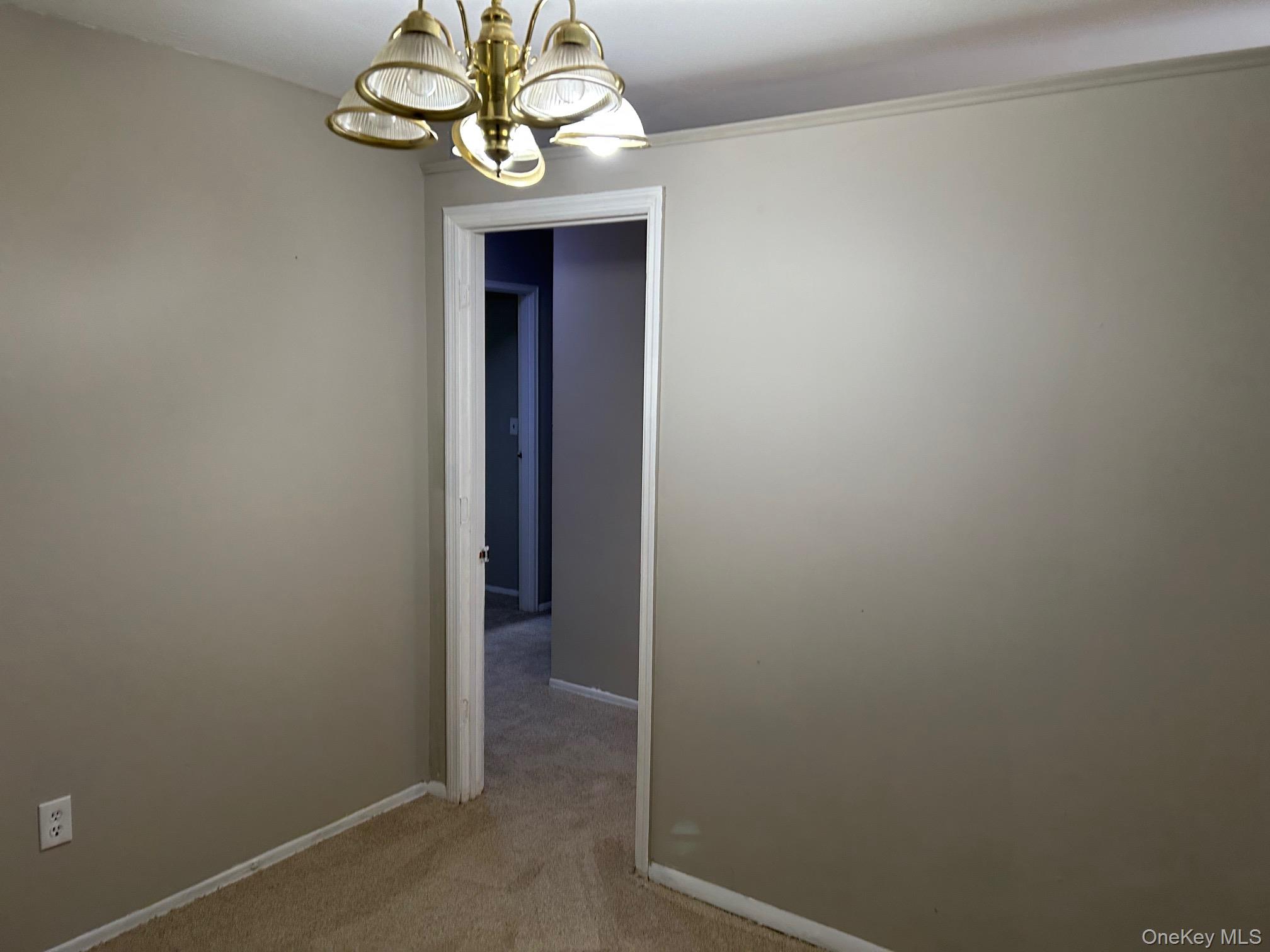 220 Sneden Place, Unit 220 photo 30