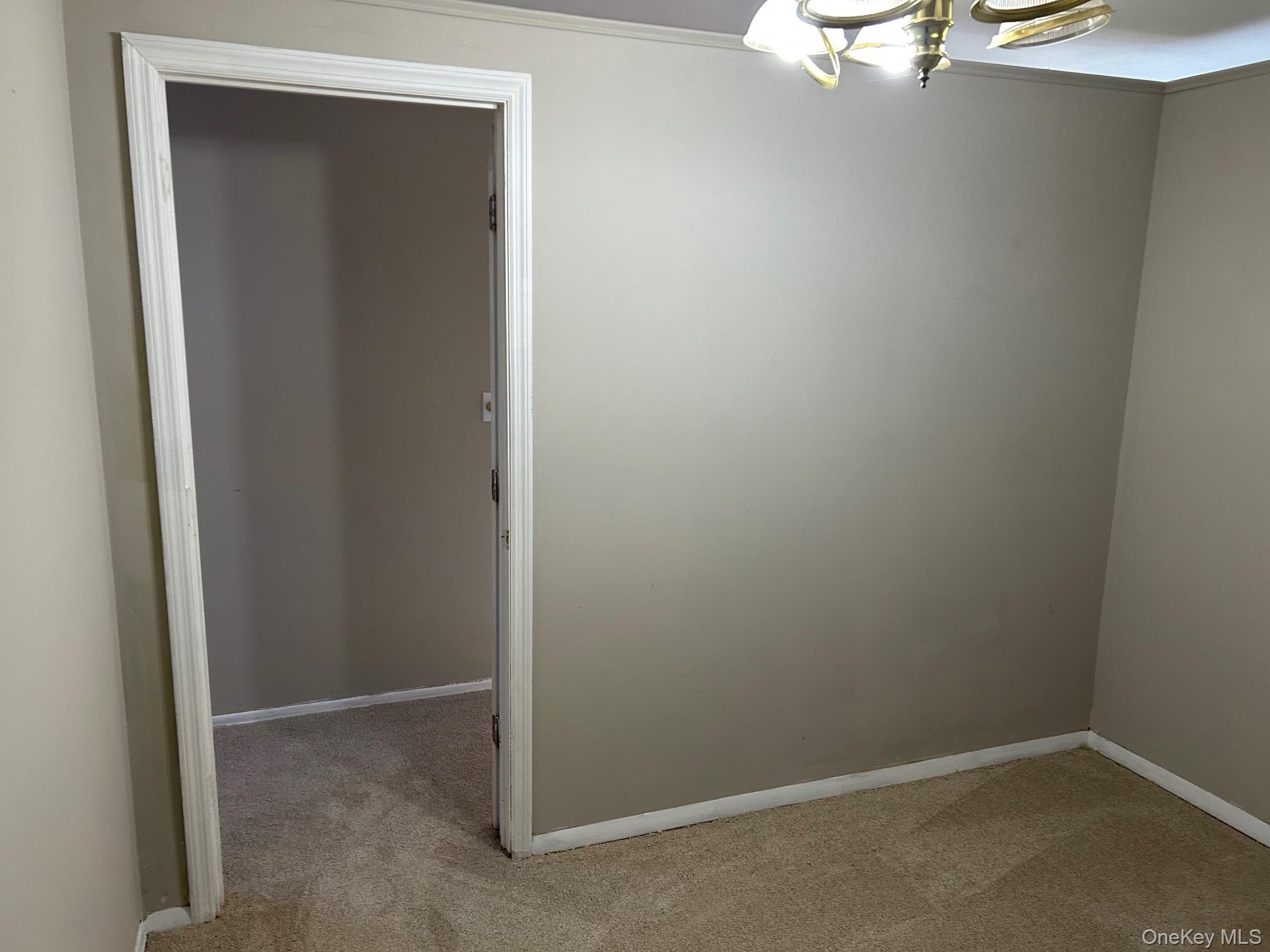 220 Sneden Place, Unit 220 photo 28