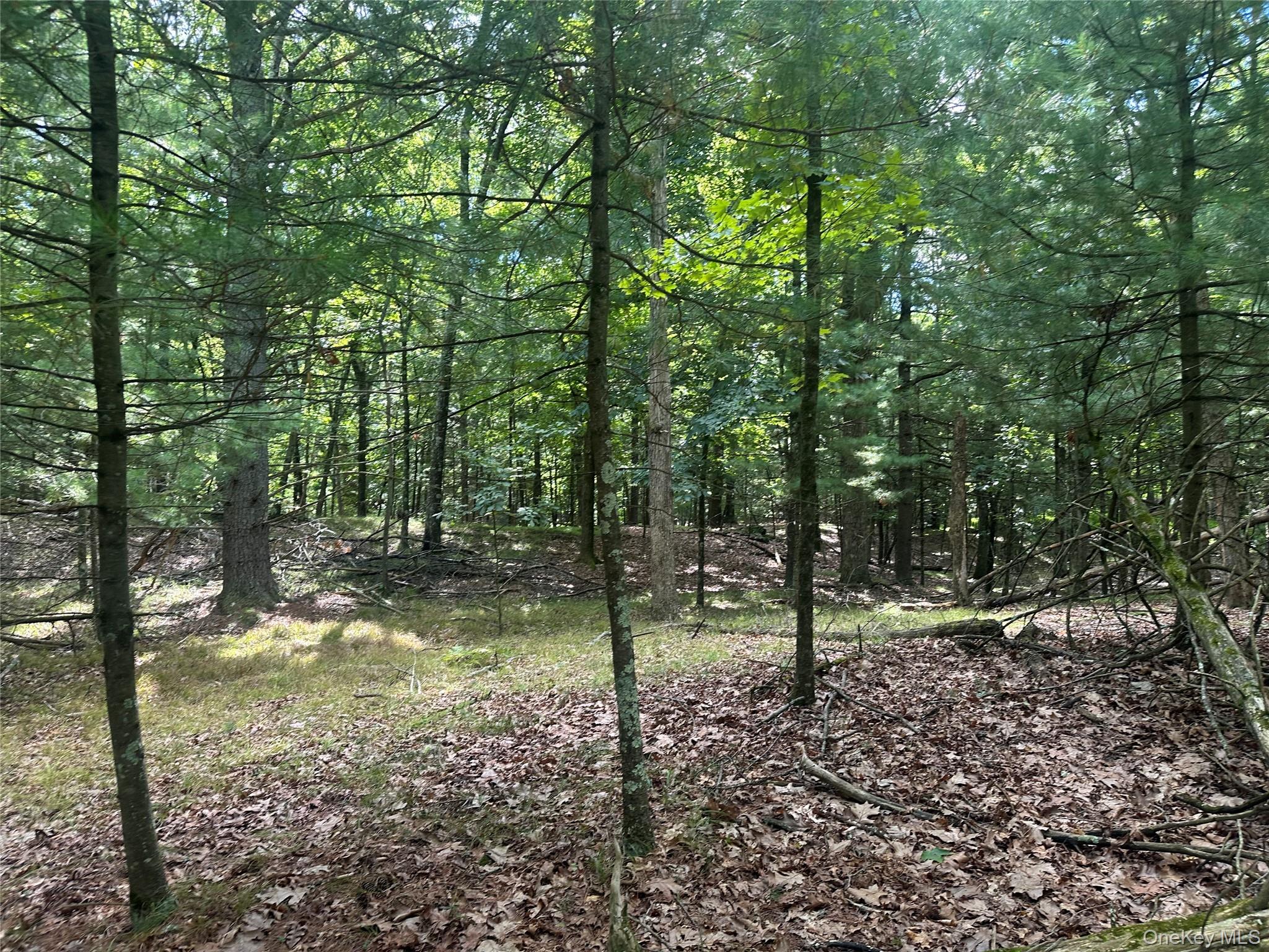 Cedar Drive – For Sale photo 10