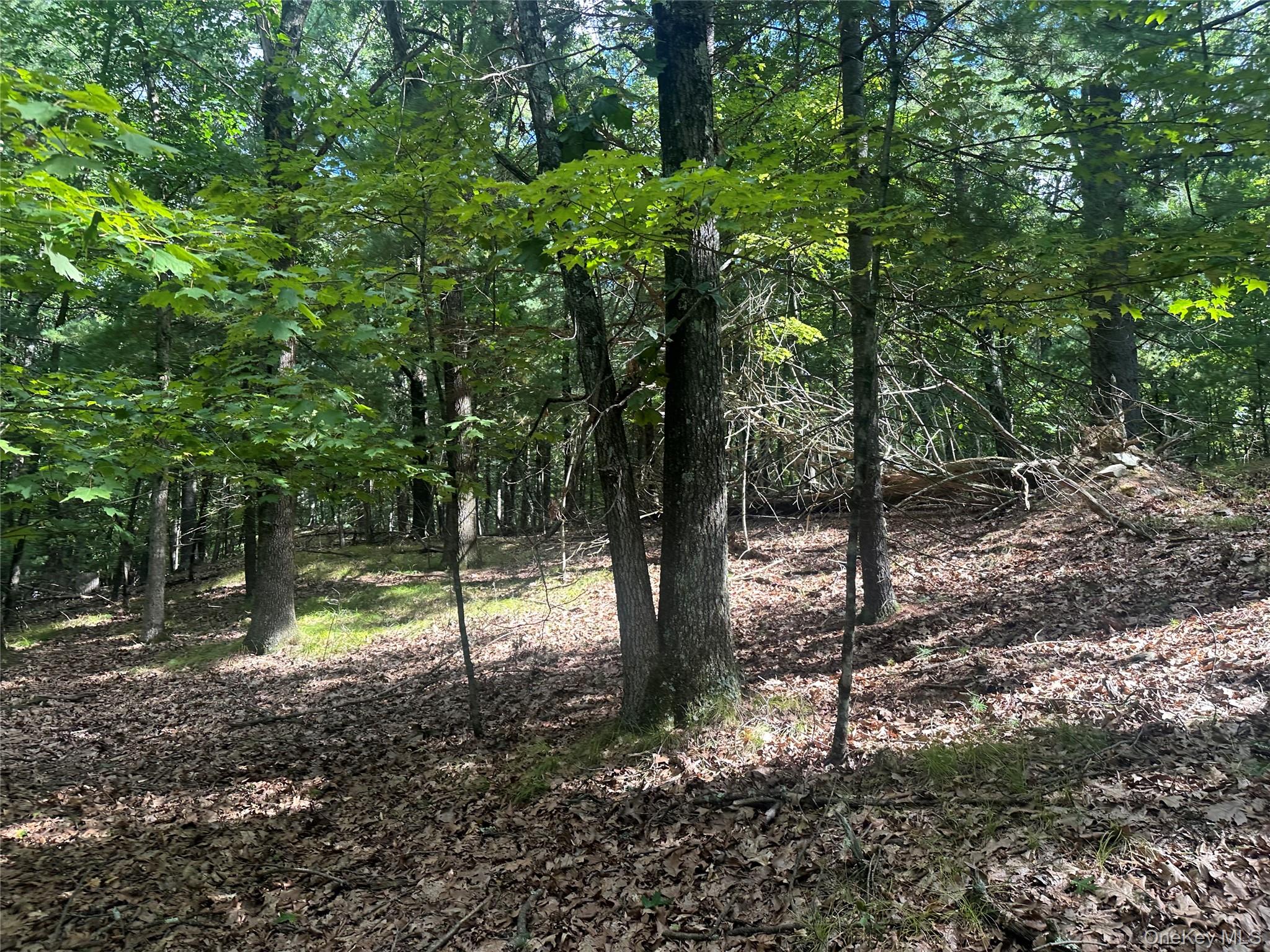 Cedar Drive – For Sale photo 5