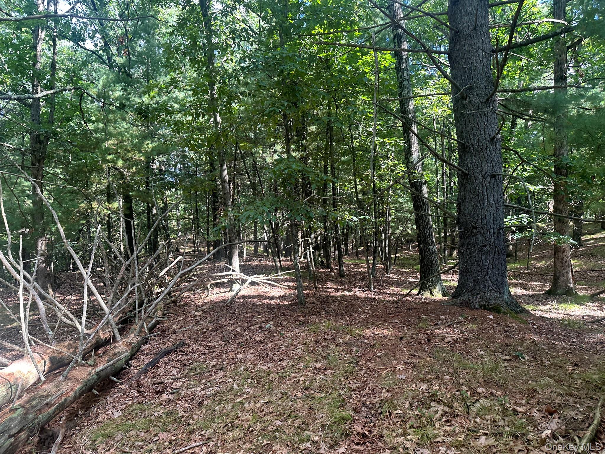 Cedar Drive – For Sale photo 9