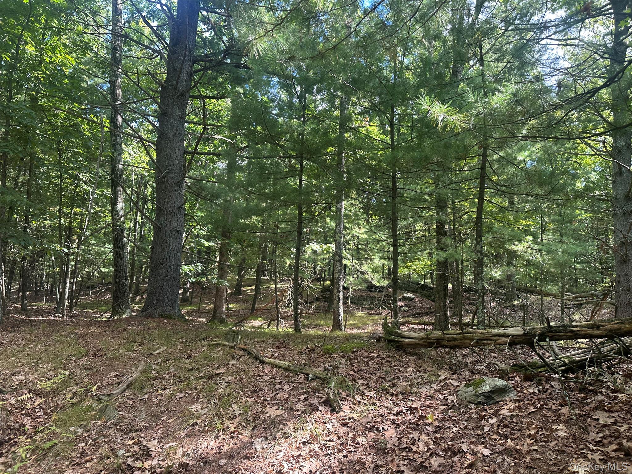 Cedar Drive – For Sale photo 8