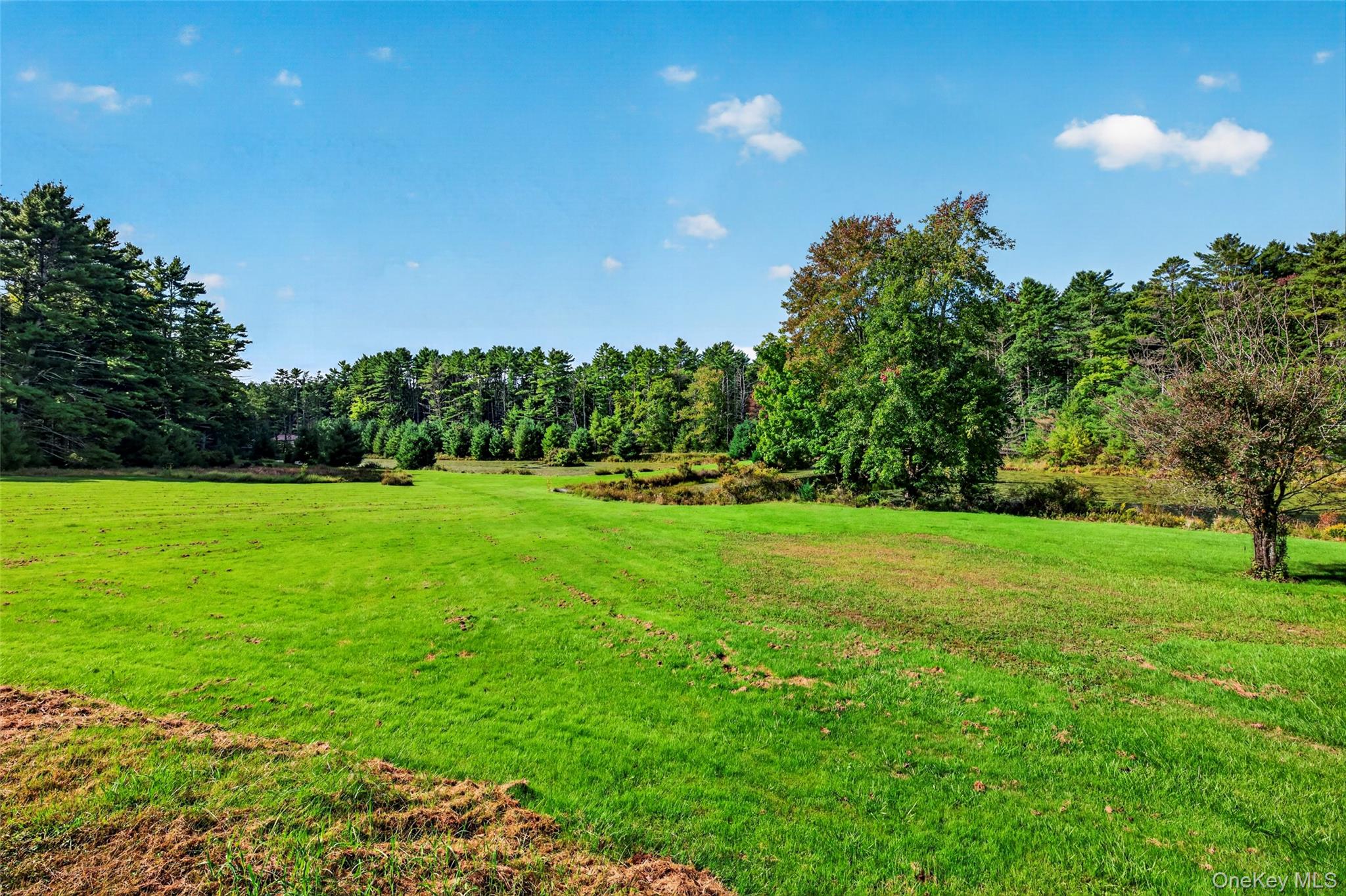 4920 State Route 97 – For Sale photo 2