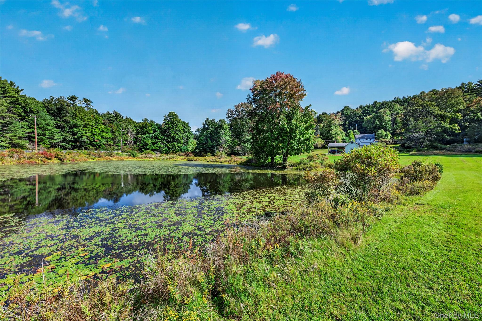 4920 State Route 97 – For Sale photo 8