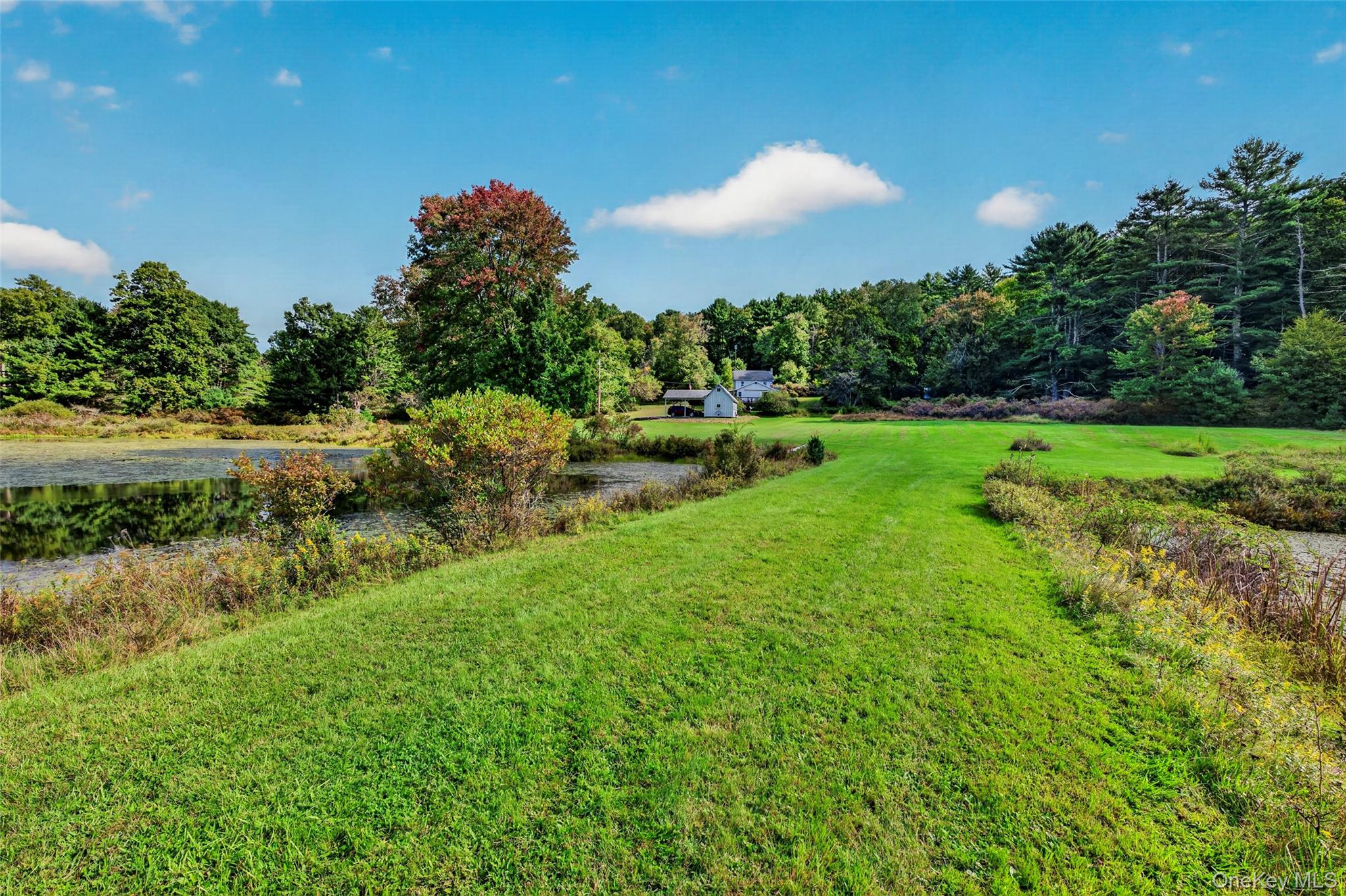 4920 State Route 97 – For Sale photo 7