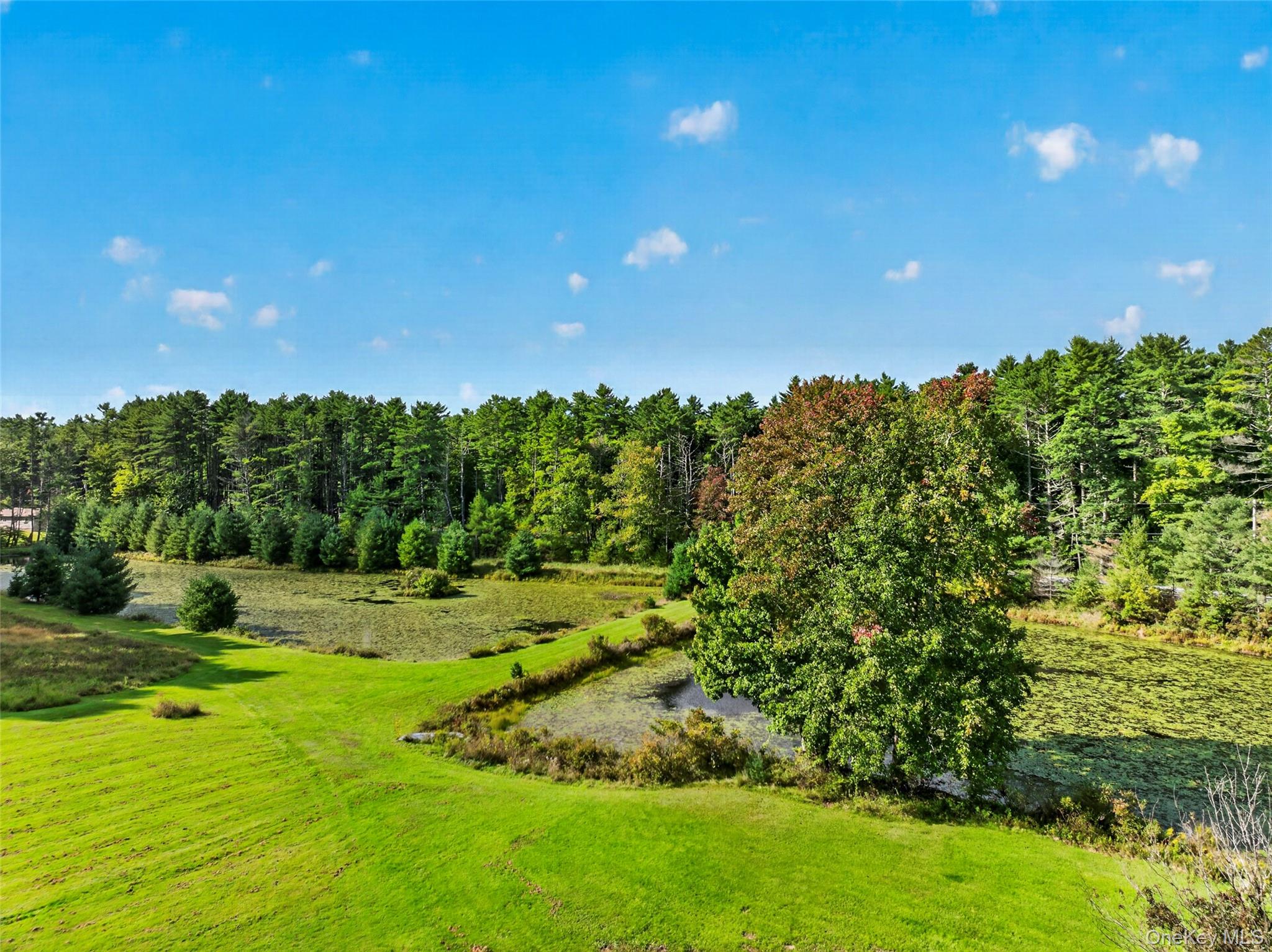 4920 State Route 97 – For Sale photo 25