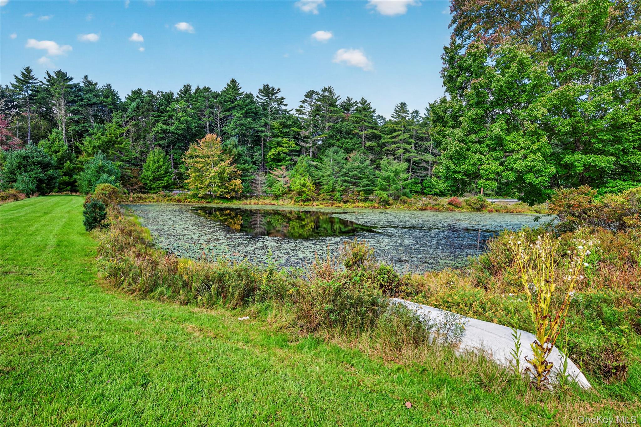 4920 State Route 97 – For Sale photo 3