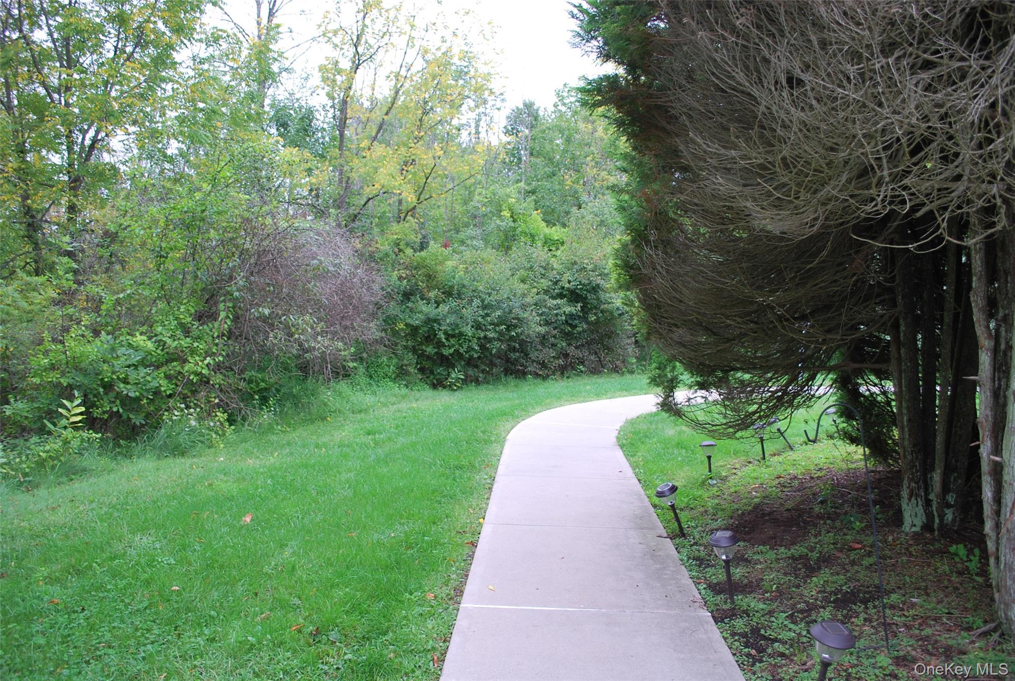72 The Rise – For Rent photo 35