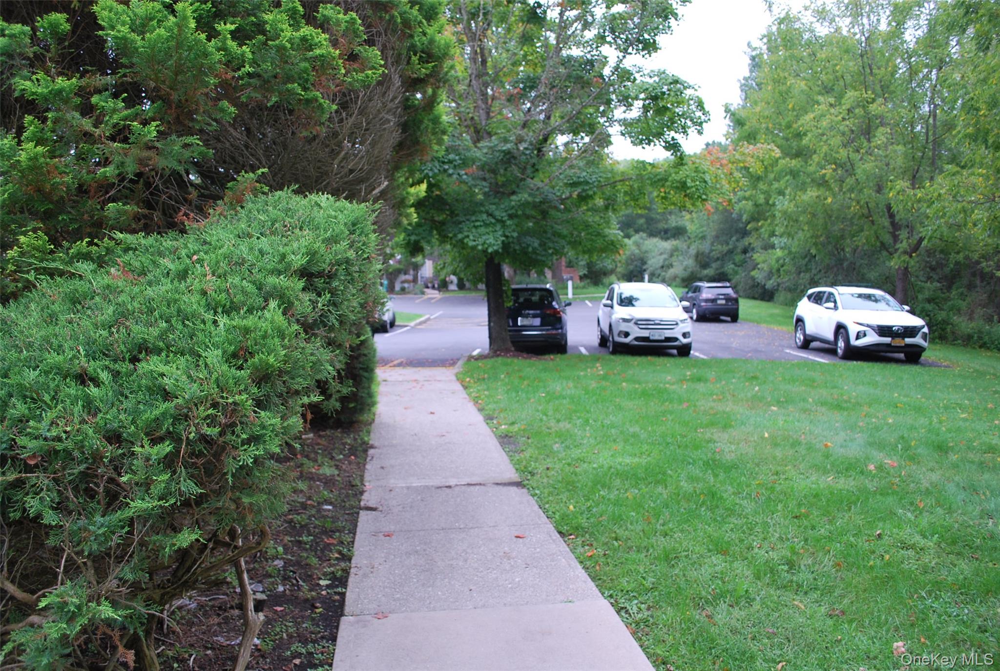 72 The Rise – For Rent photo 36
