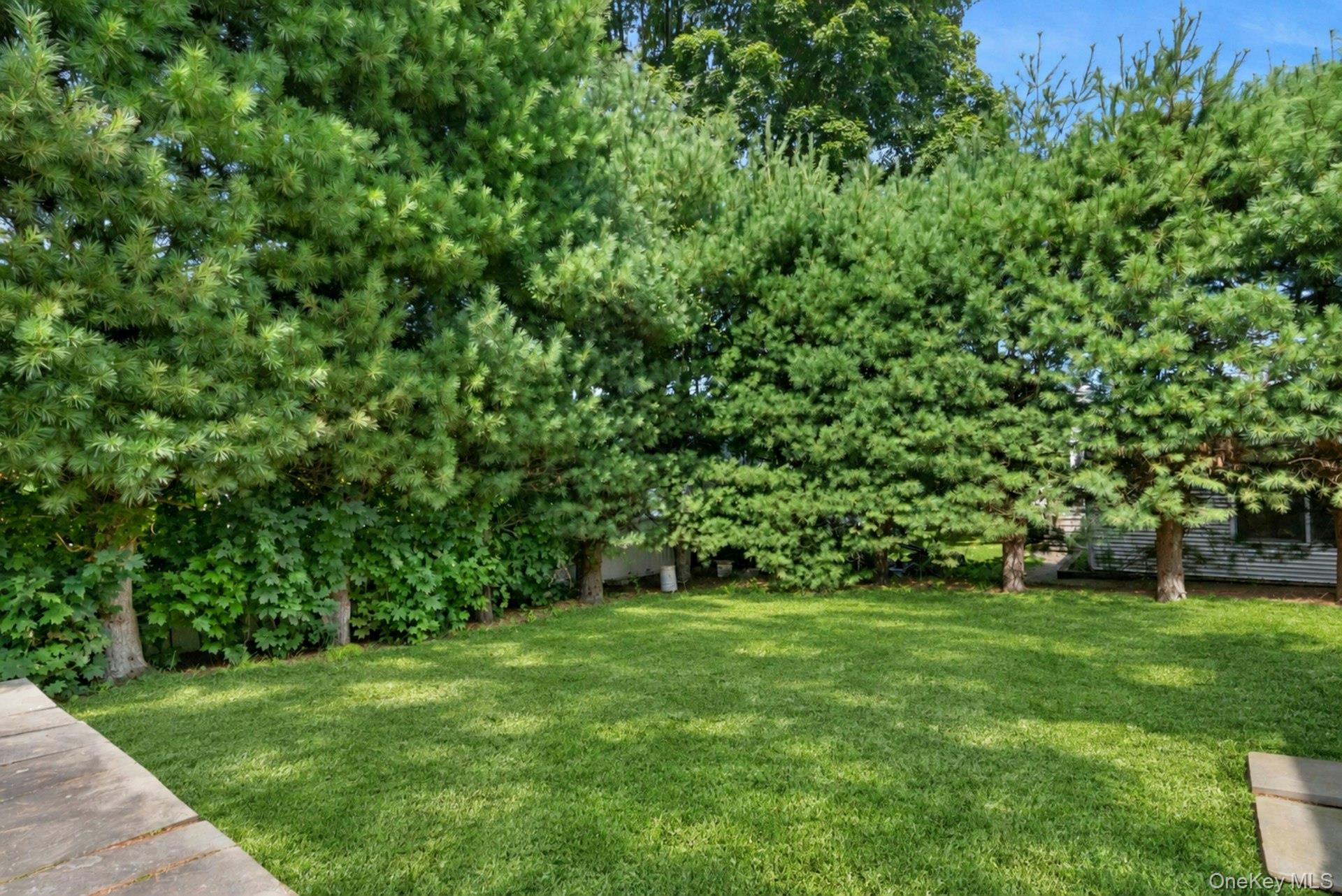 263 Pythian Avenue – For Sale photo 6
